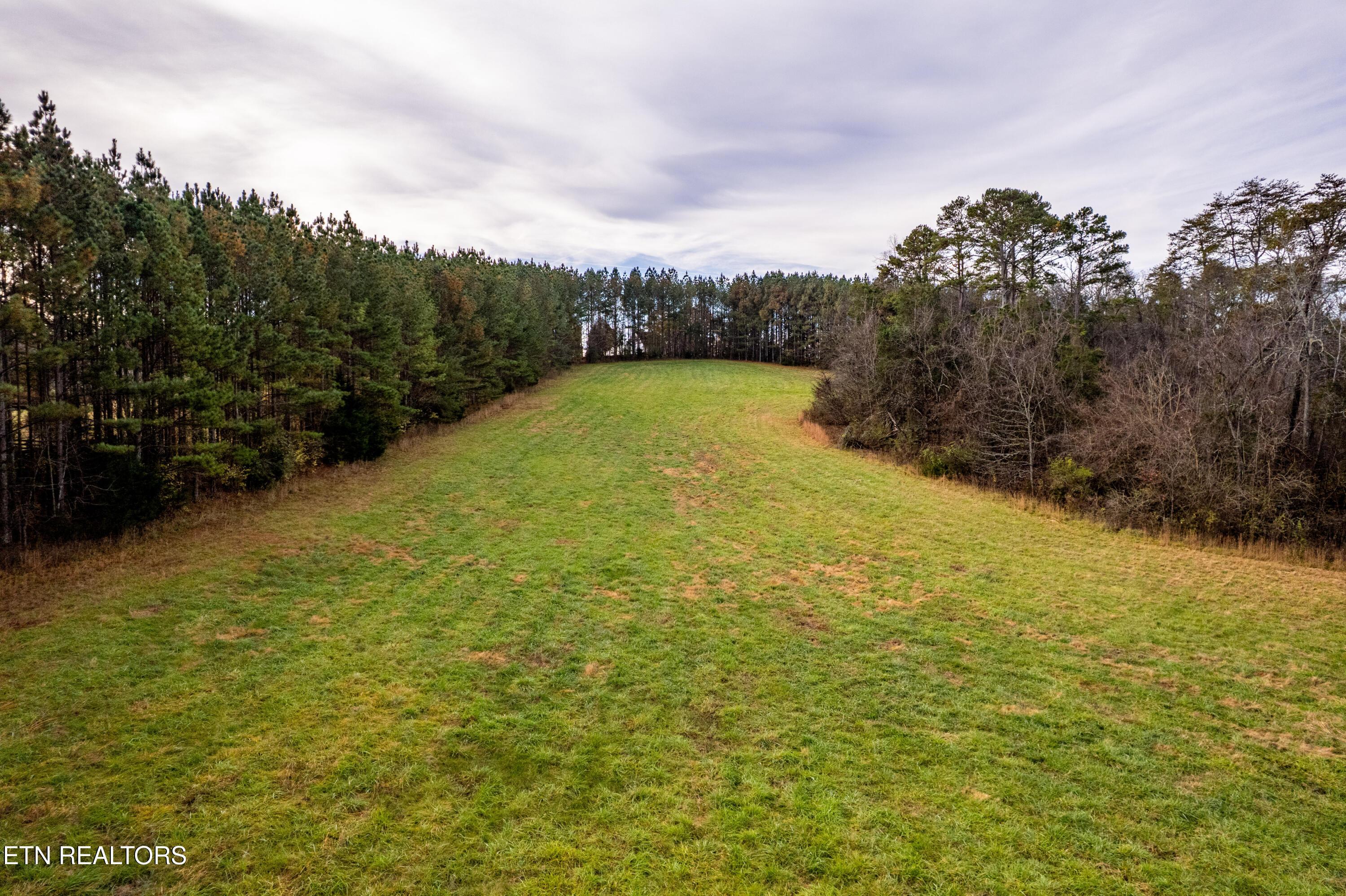 Fort Loudoun and Tellico Lake Real Estate - Image# 19