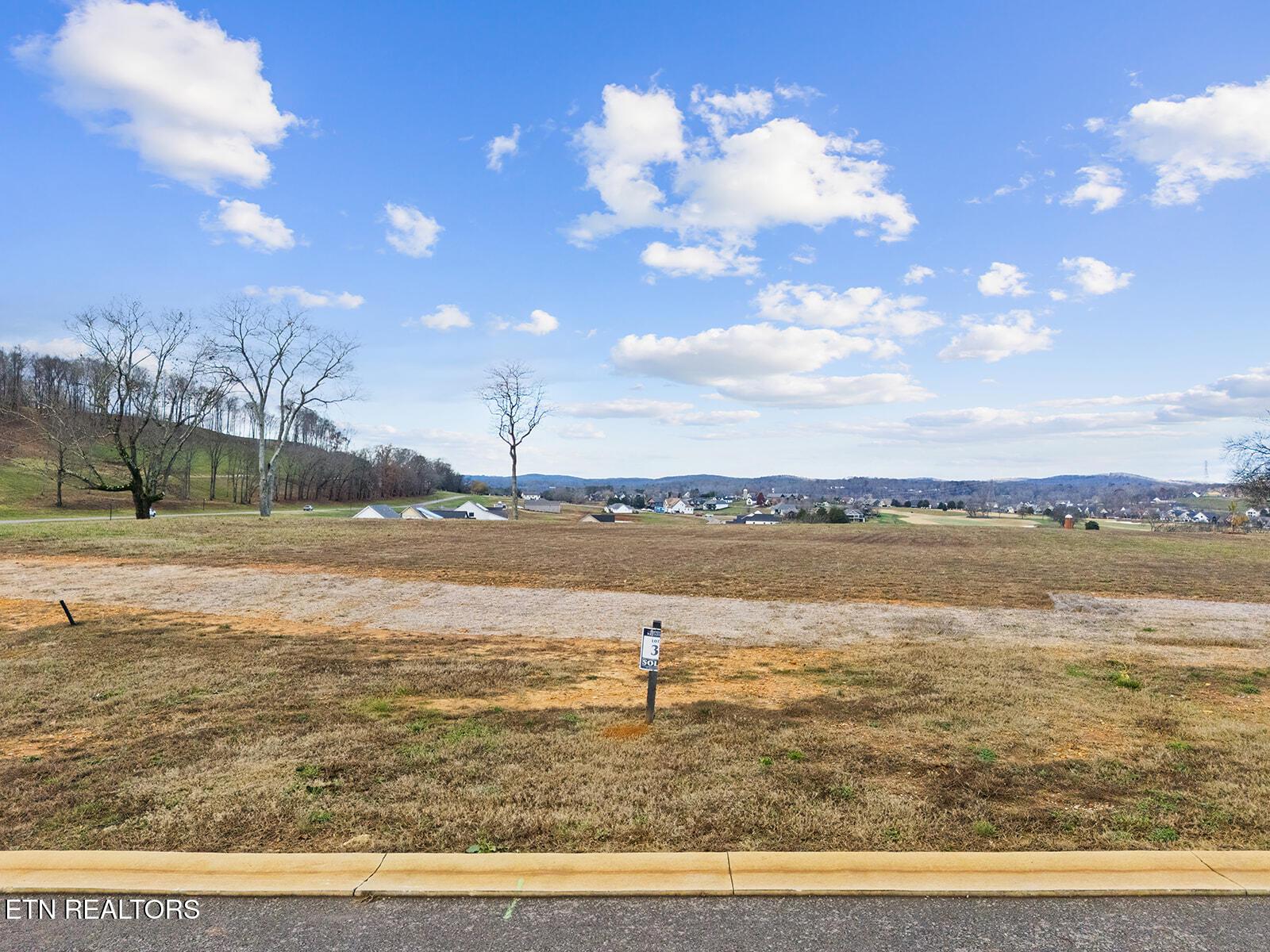 135 Magnolia Hill, Loudon, TN - Fort Loudoun and Tellico Lake Real Estate - Image# 4