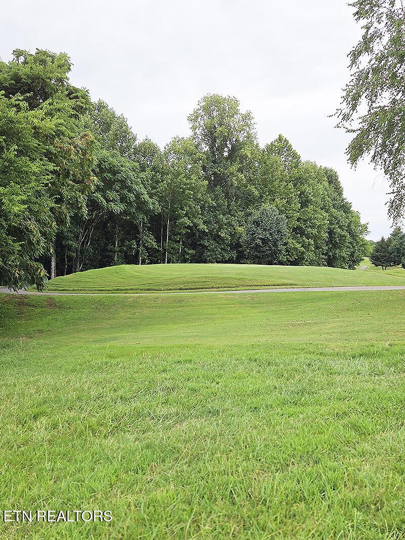 148 White Hawk Drive, Vonore, TN - Fort Loudoun and Tellico Lake Real Estate - Image# 3