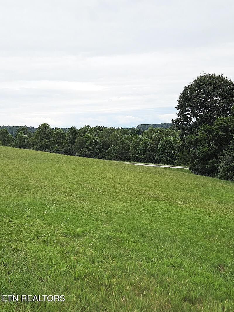 148 White Hawk Drive, Vonore, TN - Fort Loudoun and Tellico Lake Real Estate - Image# 6