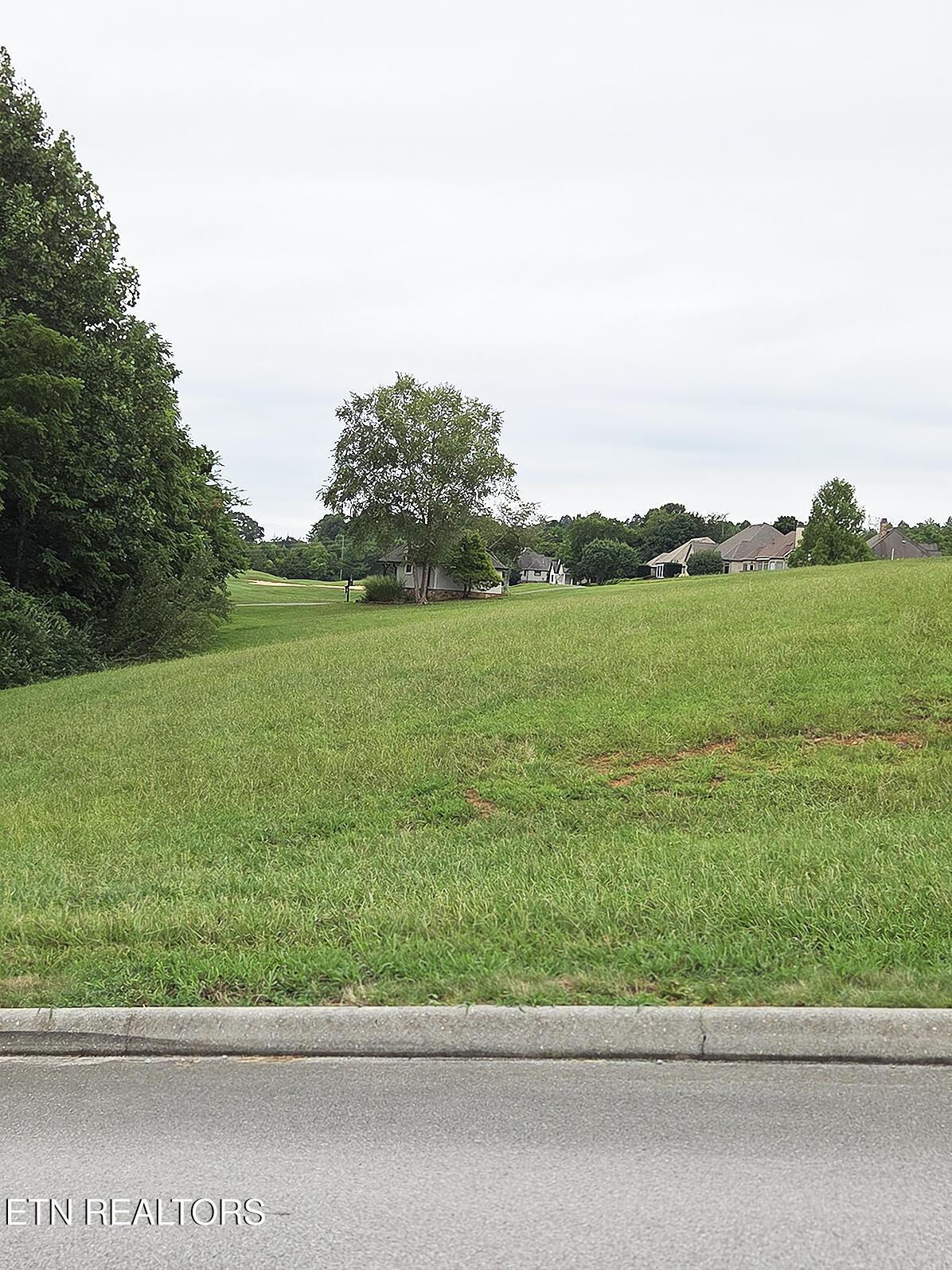 148 White Hawk Drive, Vonore, TN - Fort Loudoun and Tellico Lake Real Estate - Image# 5