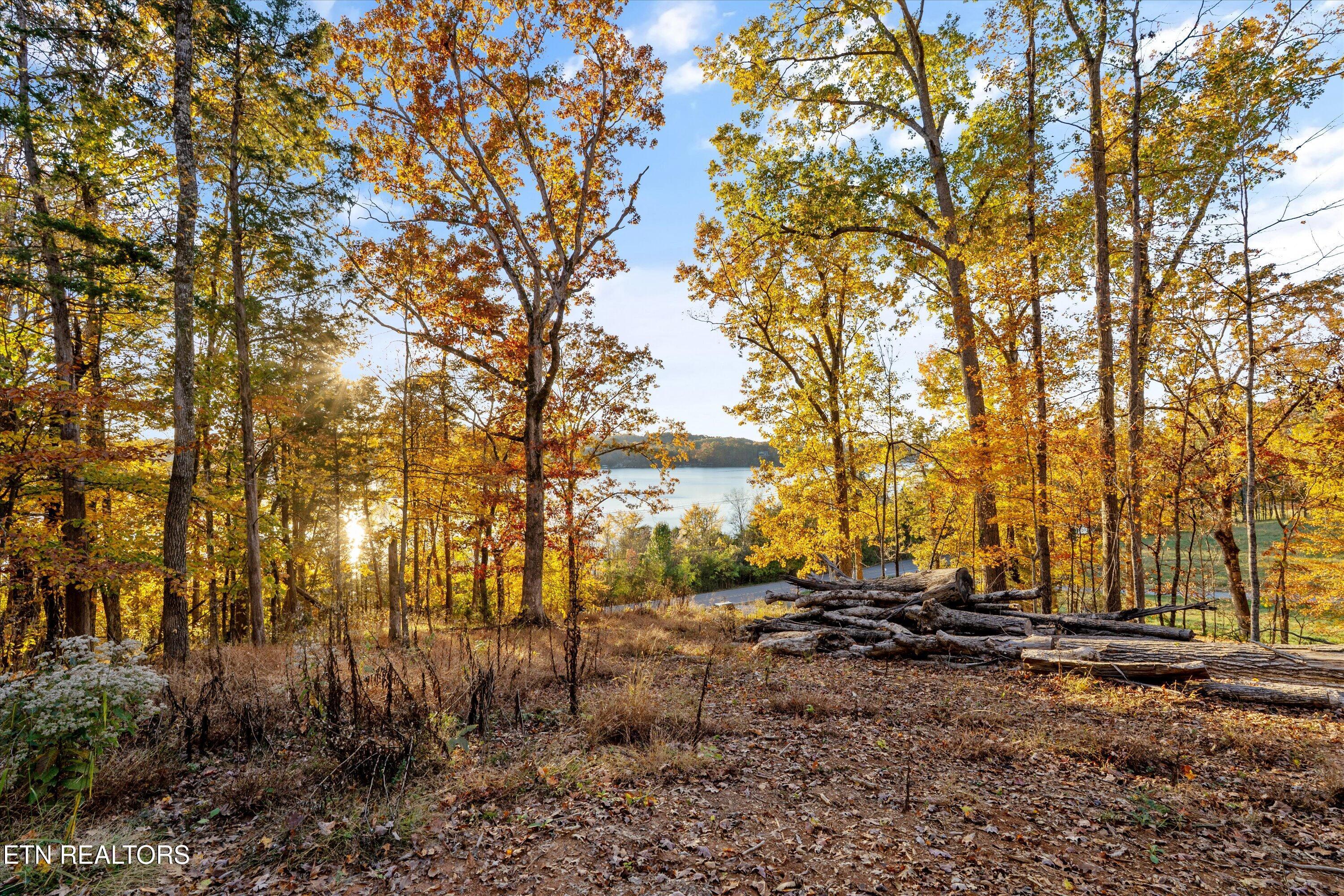 3200 Keller Bend Rd, Knoxville, TN - Fort Loudoun and Tellico Lake Real Estate - Image# 15