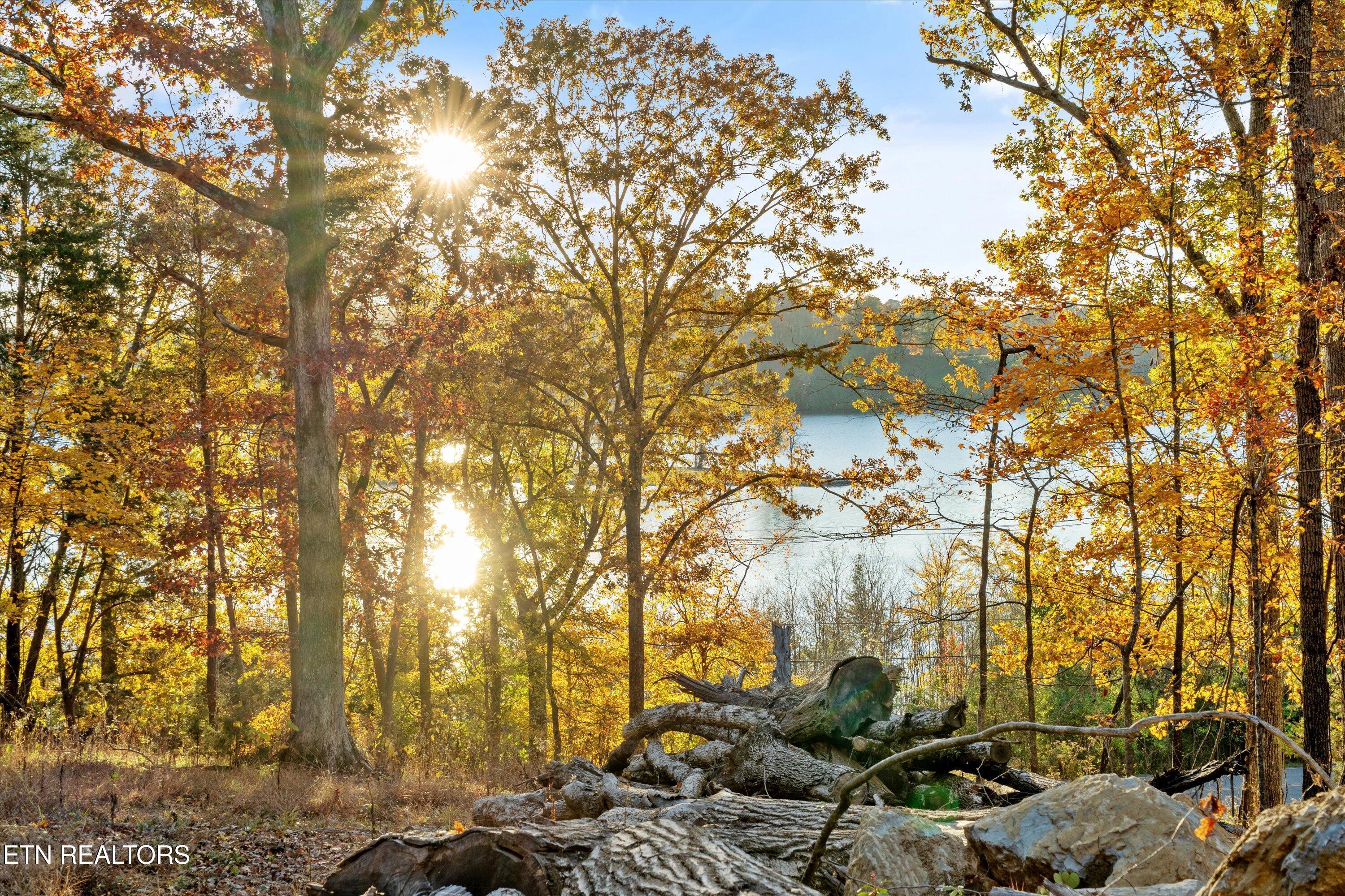 3200 Keller Bend Rd, Knoxville, TN - Fort Loudoun and Tellico Lake Real Estate - Image# 19