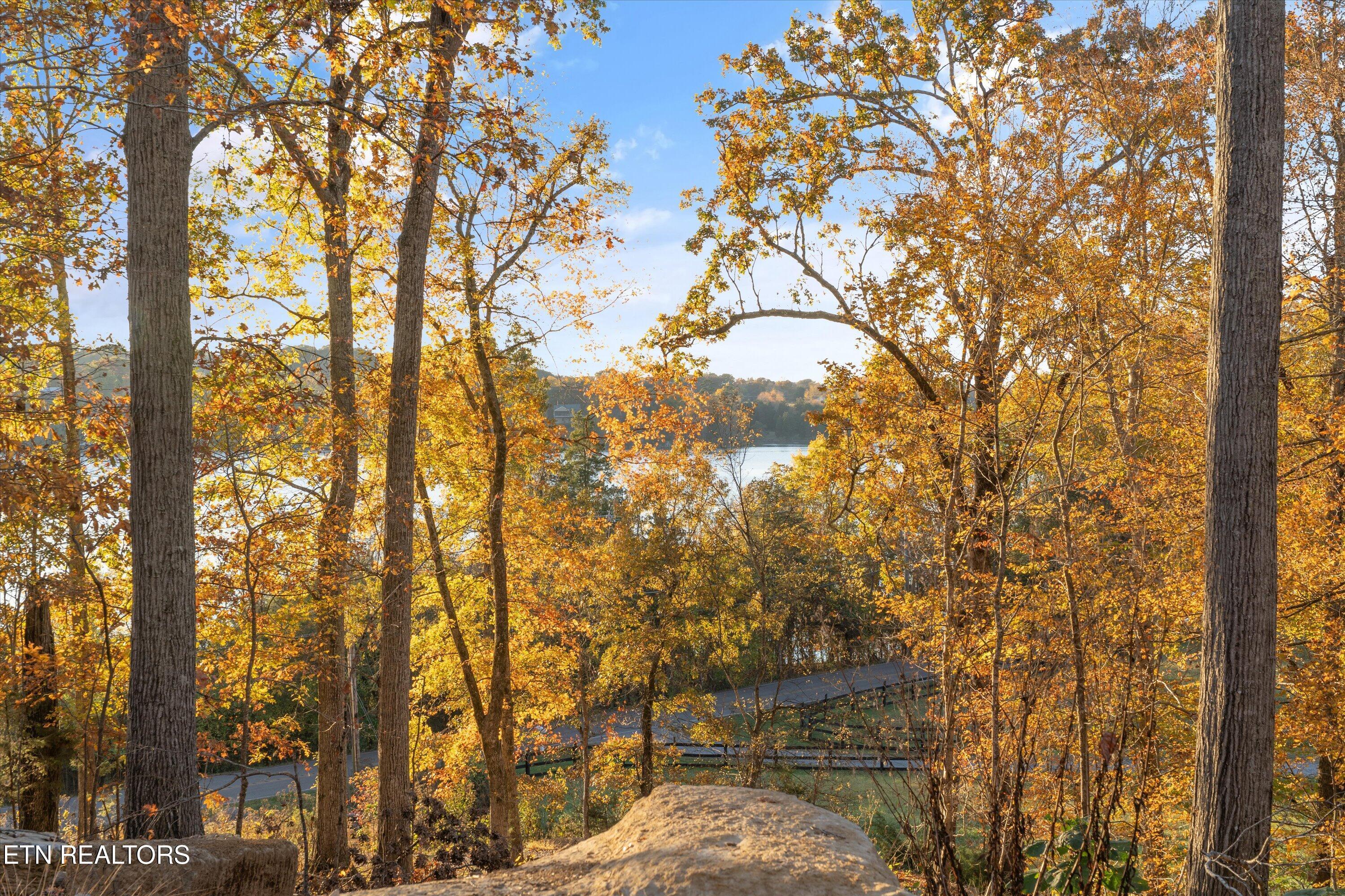 3200 Keller Bend Rd, Knoxville, TN - Fort Loudoun and Tellico Lake Real Estate - Image# 20