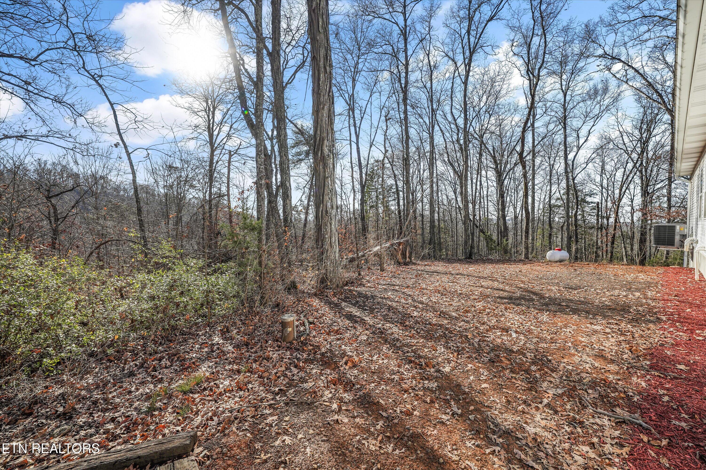 2993 Quarry Hollow Rd, Friendsville, TN - Fort Loudoun and Tellico Lake Real Estate - Image# 40