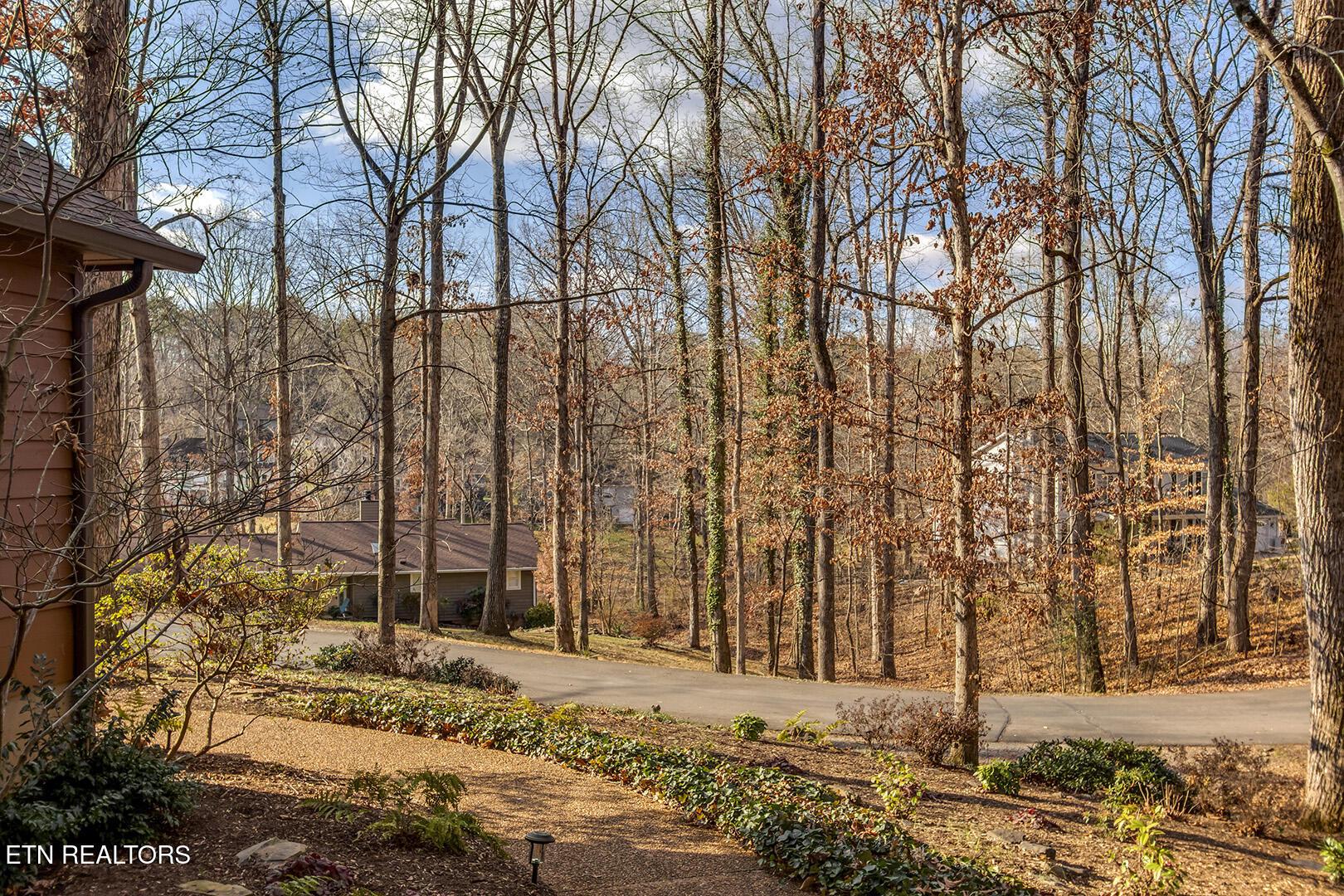 114 Cheeskogili Way, Loudon, TN - Fort Loudoun and Tellico Lake Real Estate - Image# 6