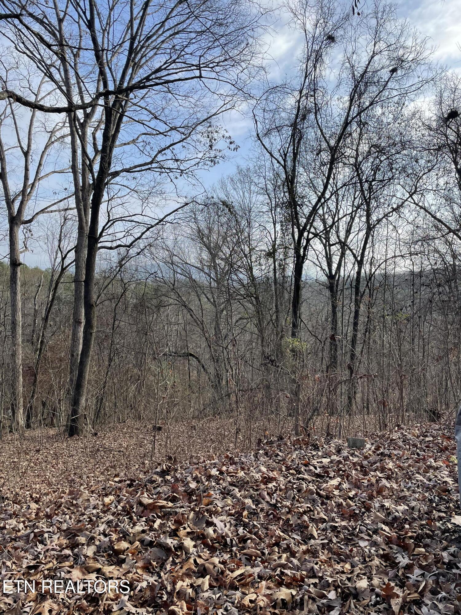 206 Old Citico (Lot 40) Rd, Vonore, TN - Fort Loudoun and Tellico Lake Real Estate - Image# 38