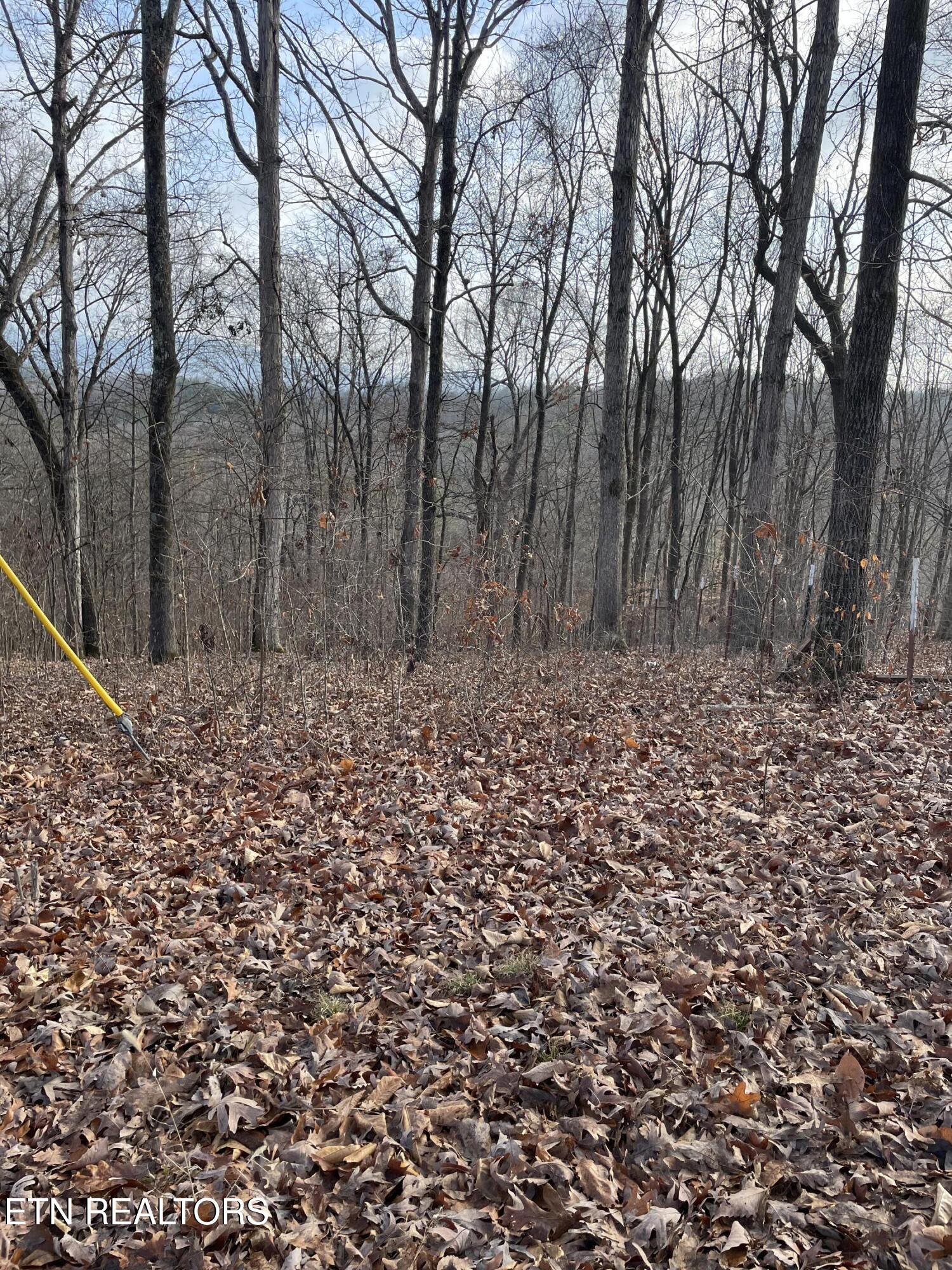 206 Old Citico (Lot 40) Rd, Vonore, TN - Fort Loudoun and Tellico Lake Real Estate - Image# 31