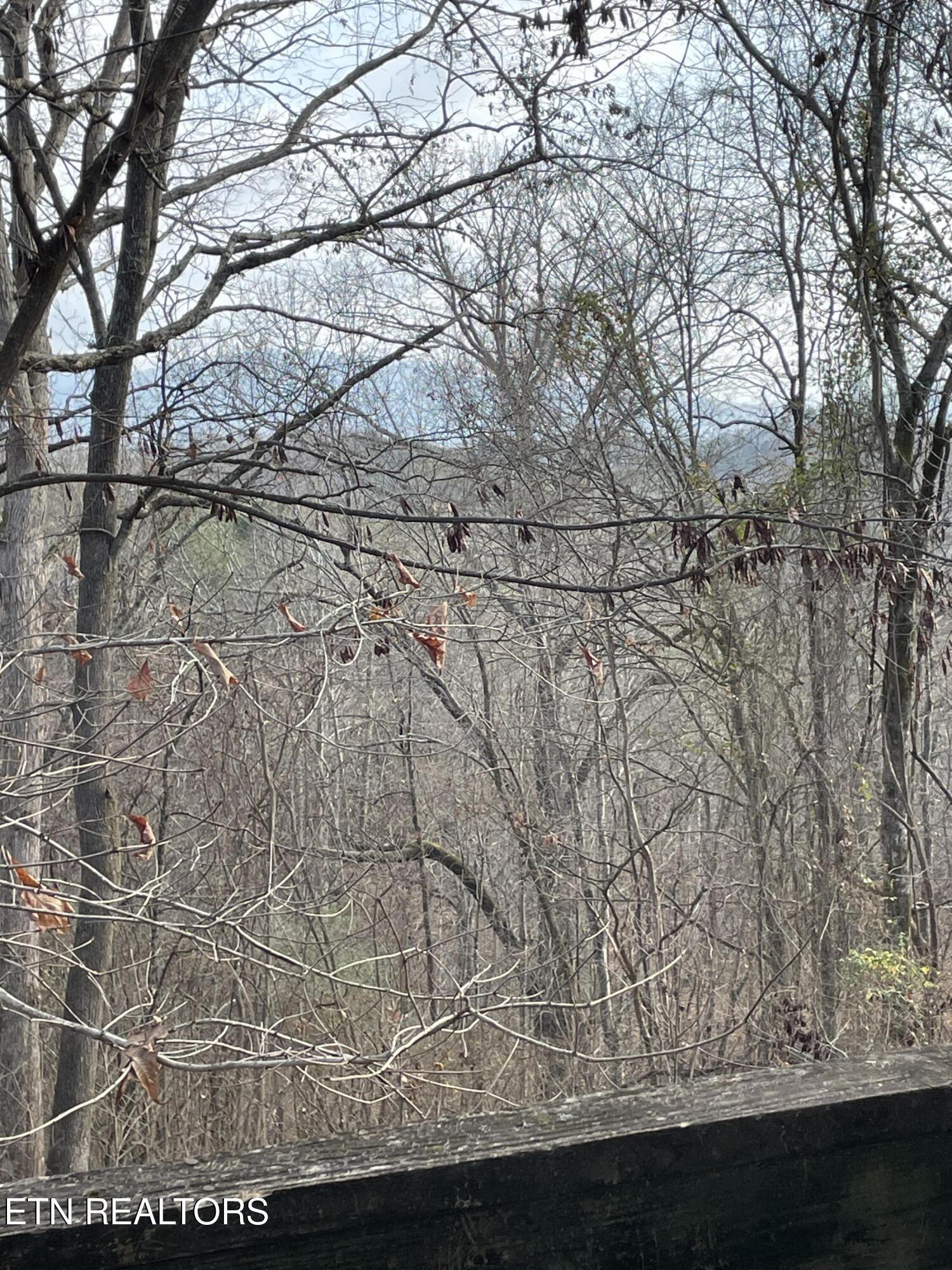 206 Old Citico (Lot 40) Rd, Vonore, TN - Fort Loudoun and Tellico Lake Real Estate - Image# 33