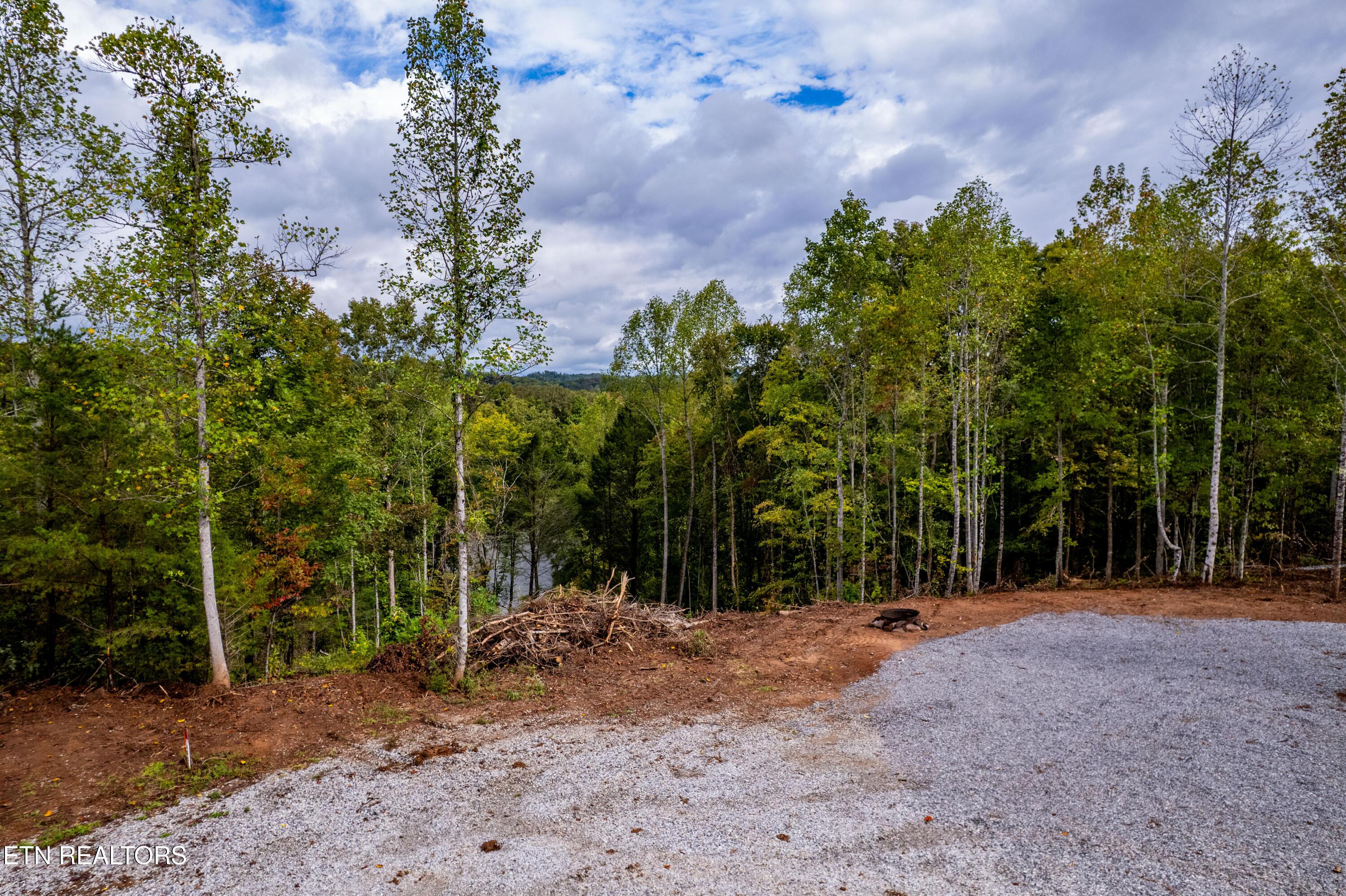 Lot 104 Pineview Lane, Vonore, TN - Fort Loudoun and Tellico Lake Real Estate - Image# 7