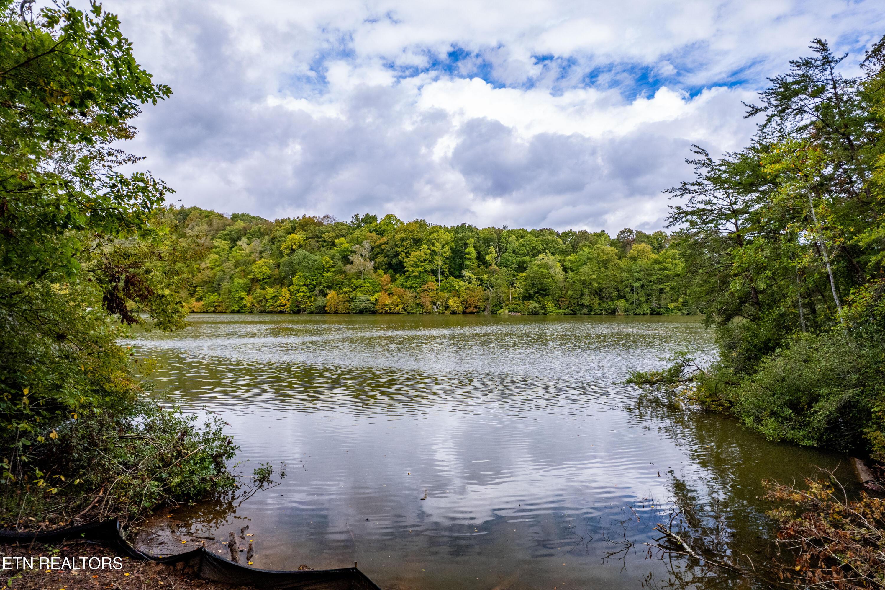 Lot 104 Pineview Lane, Vonore, TN - Fort Loudoun and Tellico Lake Real Estate - Image# 10