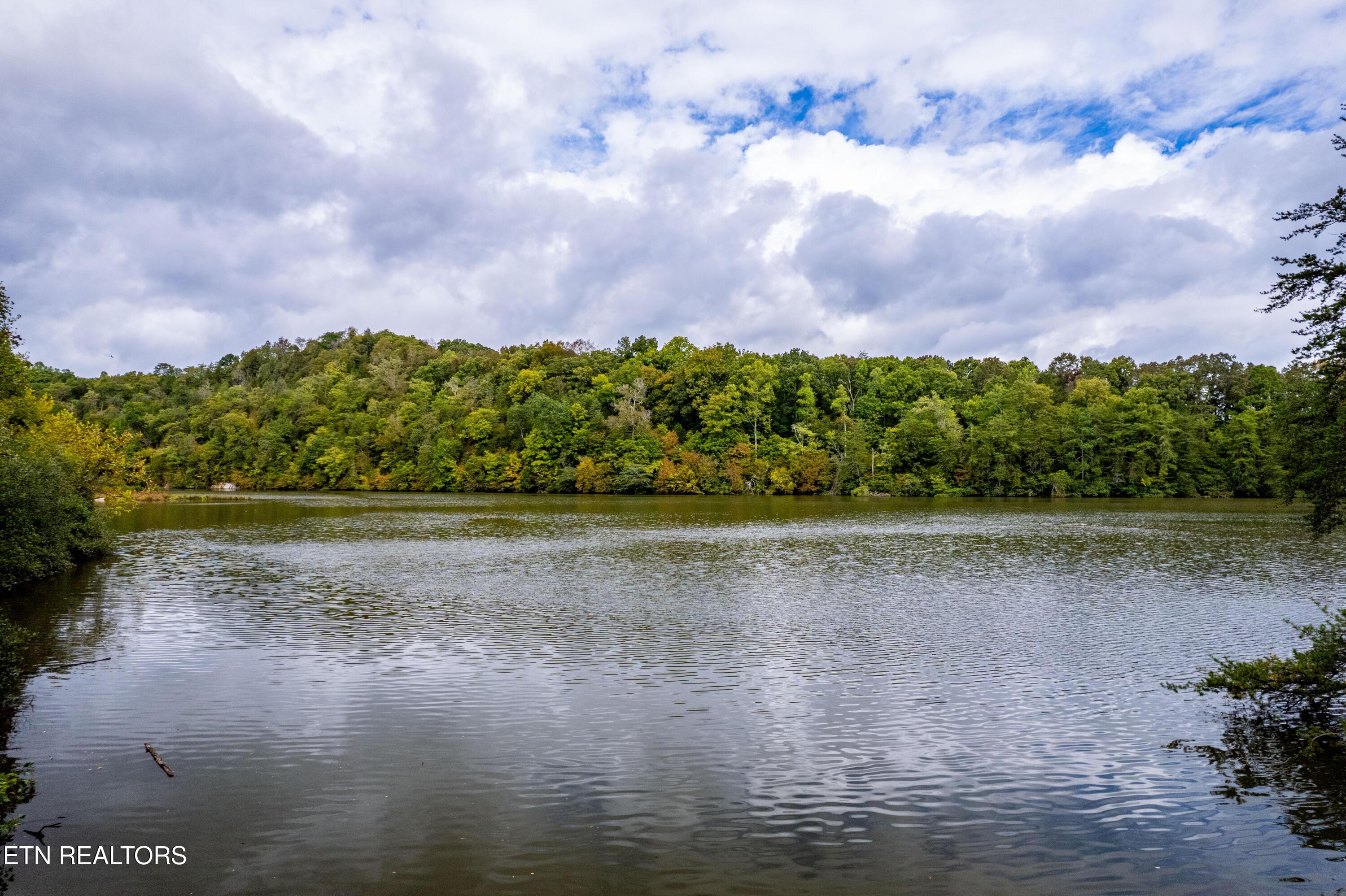 Lot 104 Pineview Lane, Vonore, TN - Fort Loudoun and Tellico Lake Real Estate - Image# 11