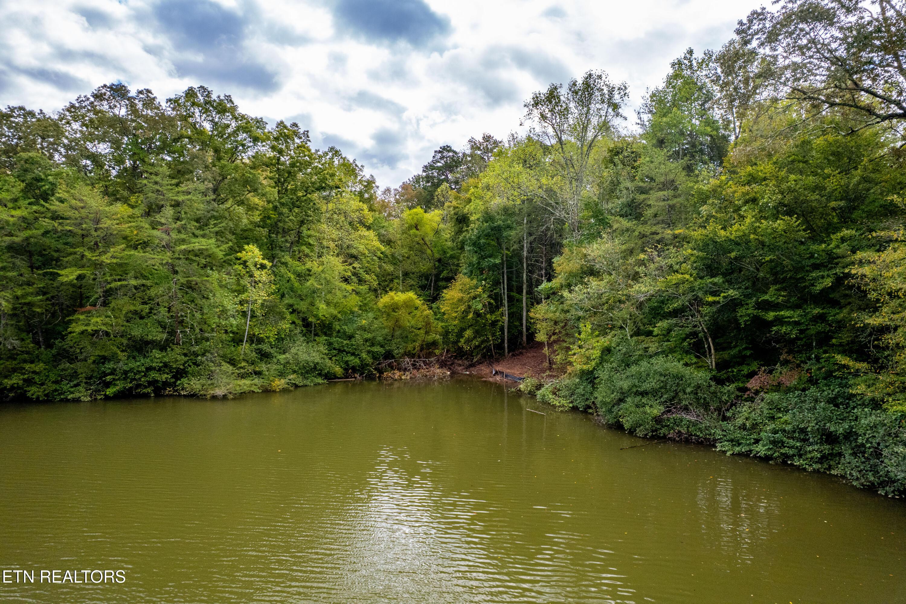 Lot 104 Pineview Lane, Vonore, TN - Fort Loudoun and Tellico Lake Real Estate - Image# 13