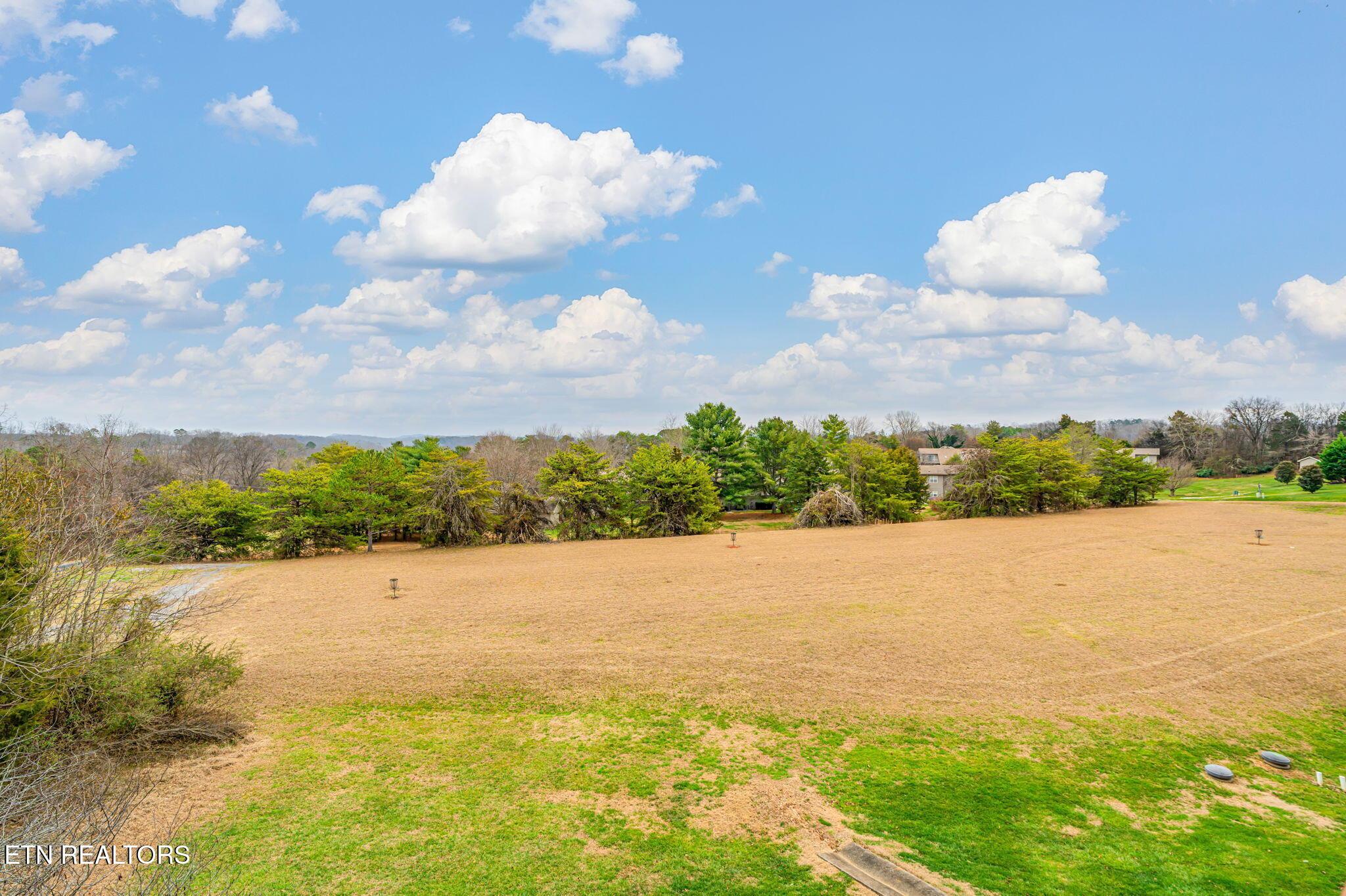 314 Dilegwa Way, Loudon, TN - Fort Loudoun and Tellico Lake Real Estate - Image# 16