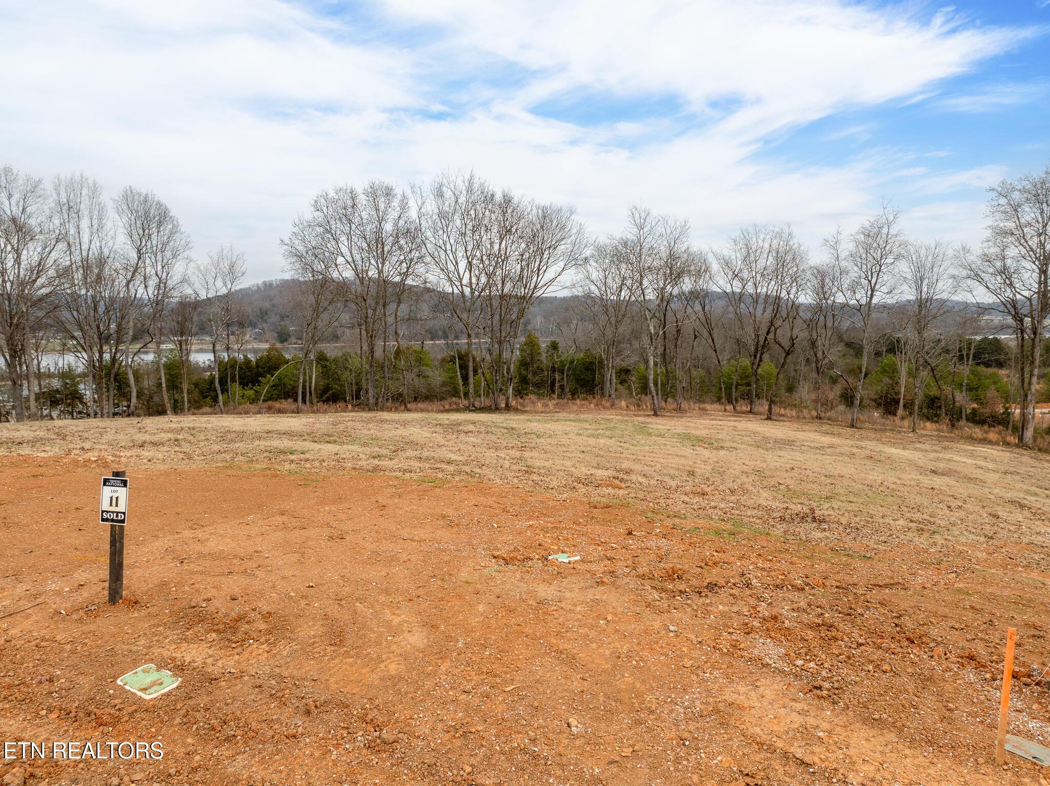 5720 Old Dogwood Tr, Loudon, TN - Fort Loudoun and Tellico Lake Real Estate - Image# 2