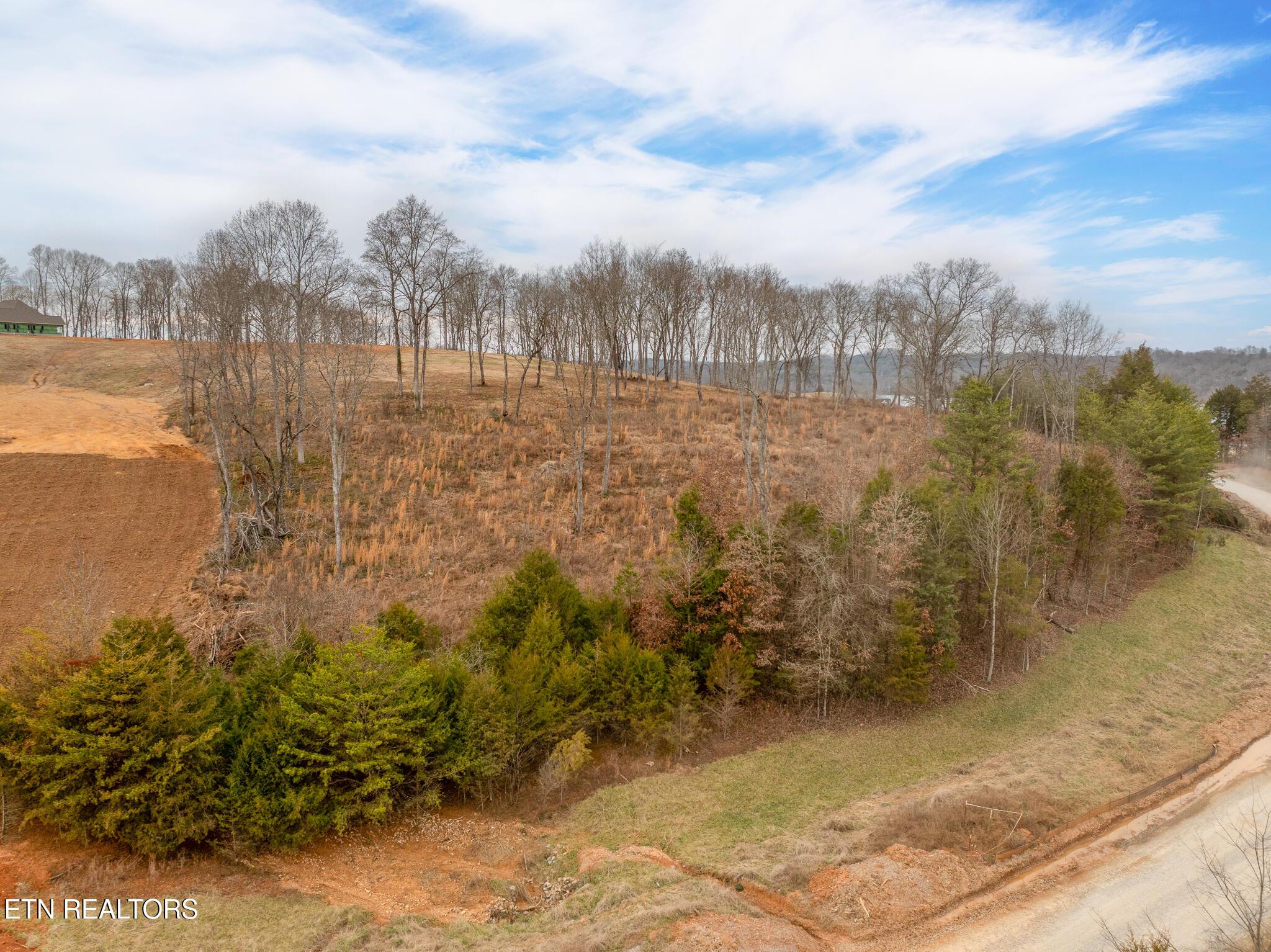 5720 Old Dogwood Tr, Loudon, TN - Fort Loudoun and Tellico Lake Real Estate - Image# 23