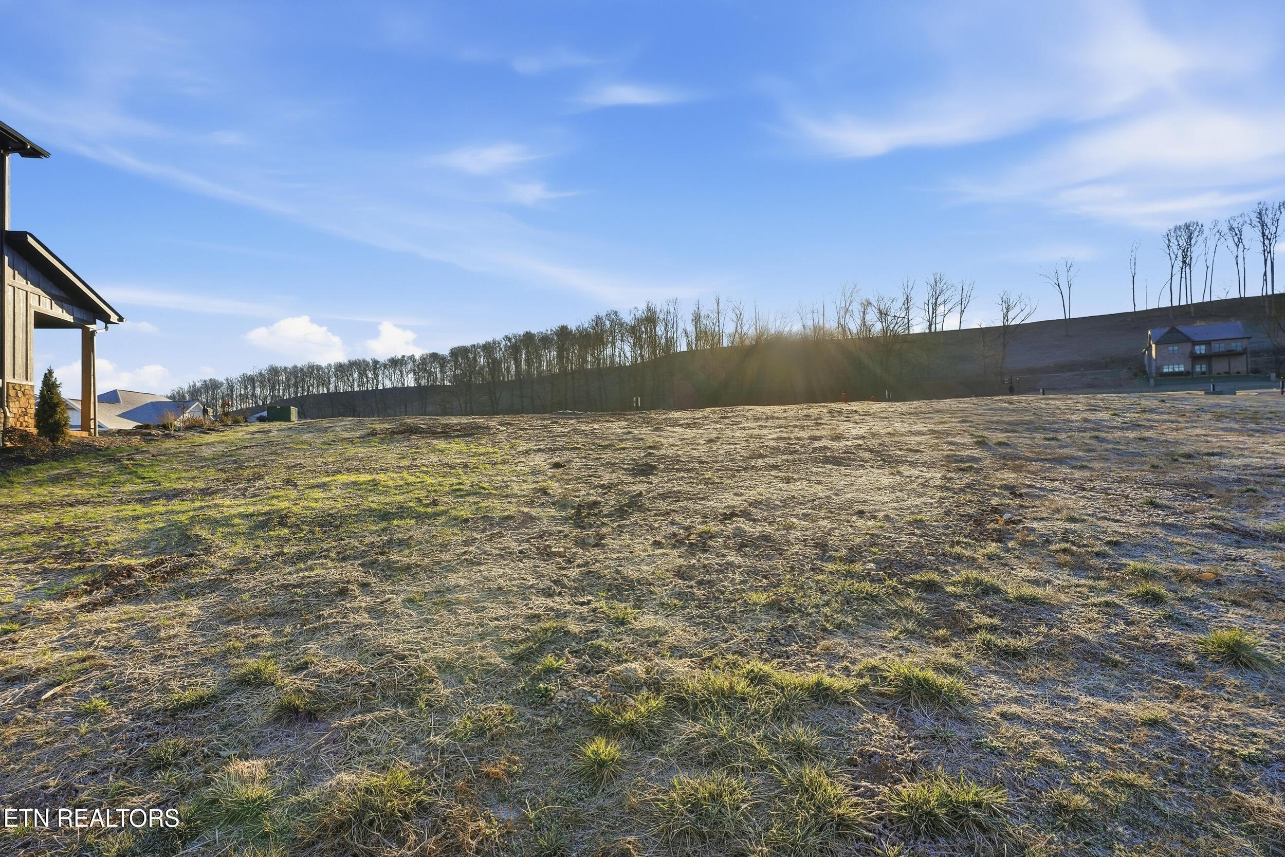 343 Black Bear Circle, Loudon, TN - Fort Loudoun and Tellico Lake Real Estate - Image# 9