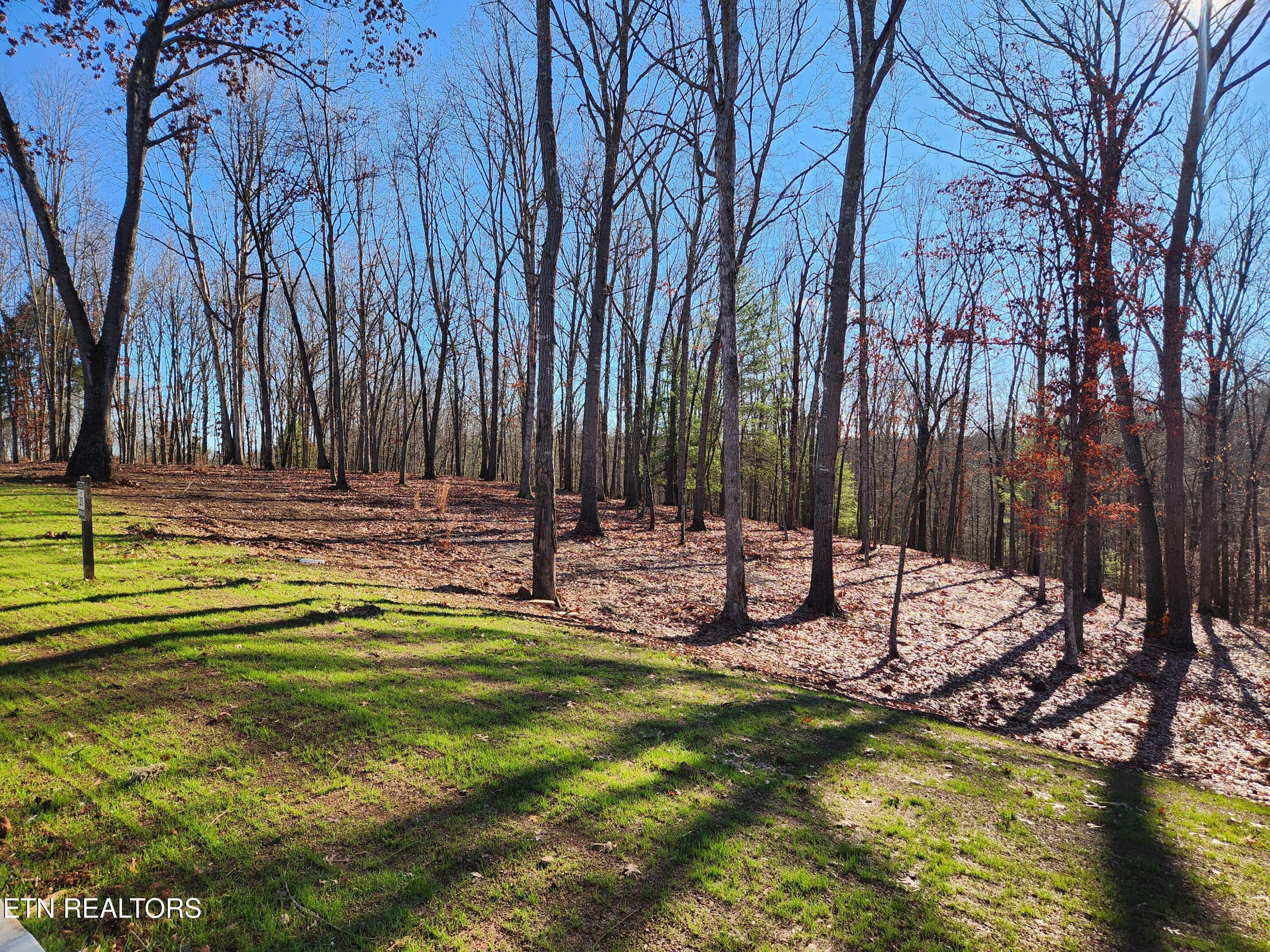 184 Hammock Court, Loudon, TN - Fort Loudoun and Tellico Lake Real Estate - Image# 1