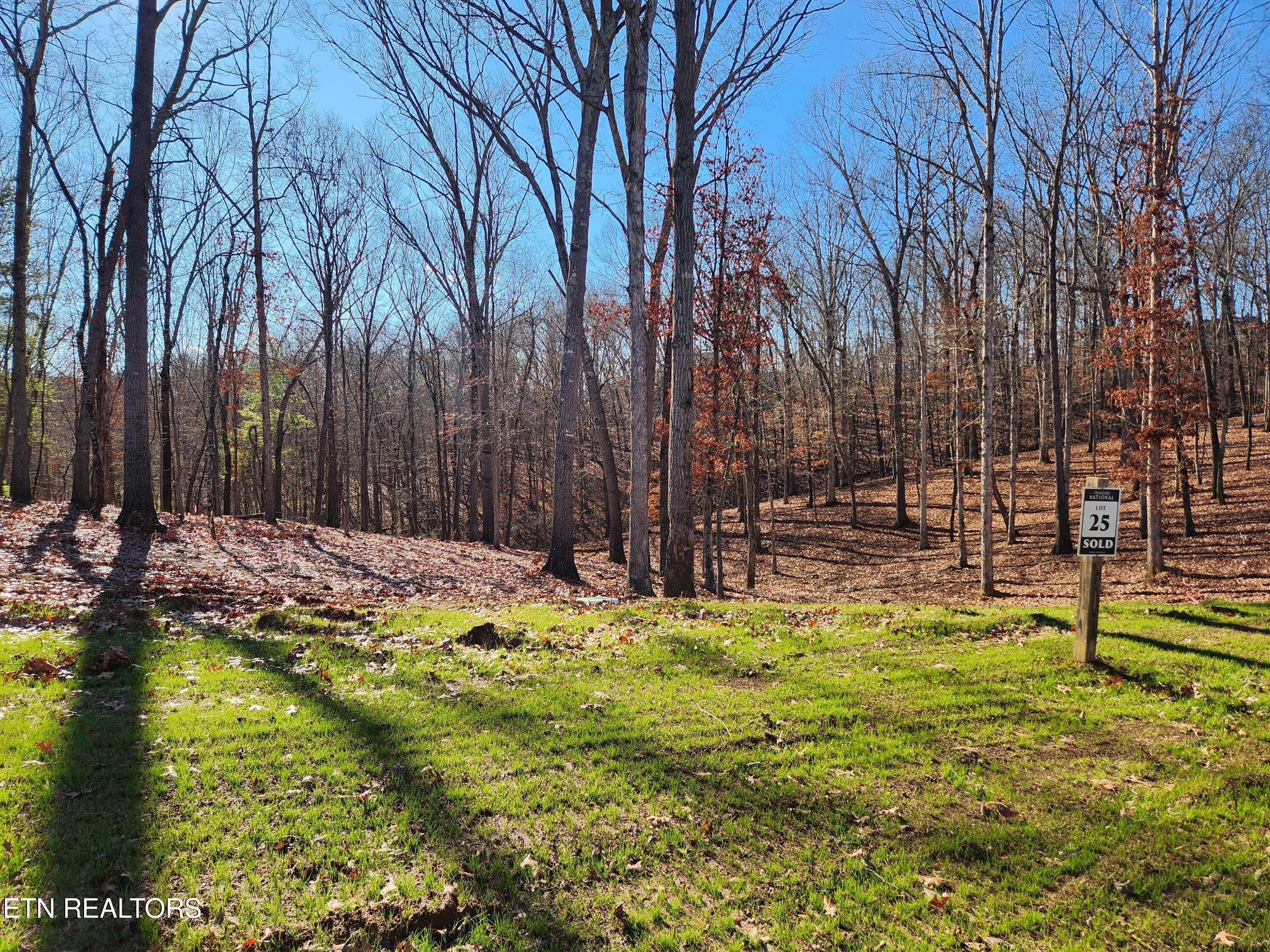 184 Hammock Court, Loudon, TN - Fort Loudoun and Tellico Lake Real Estate - Image# 2