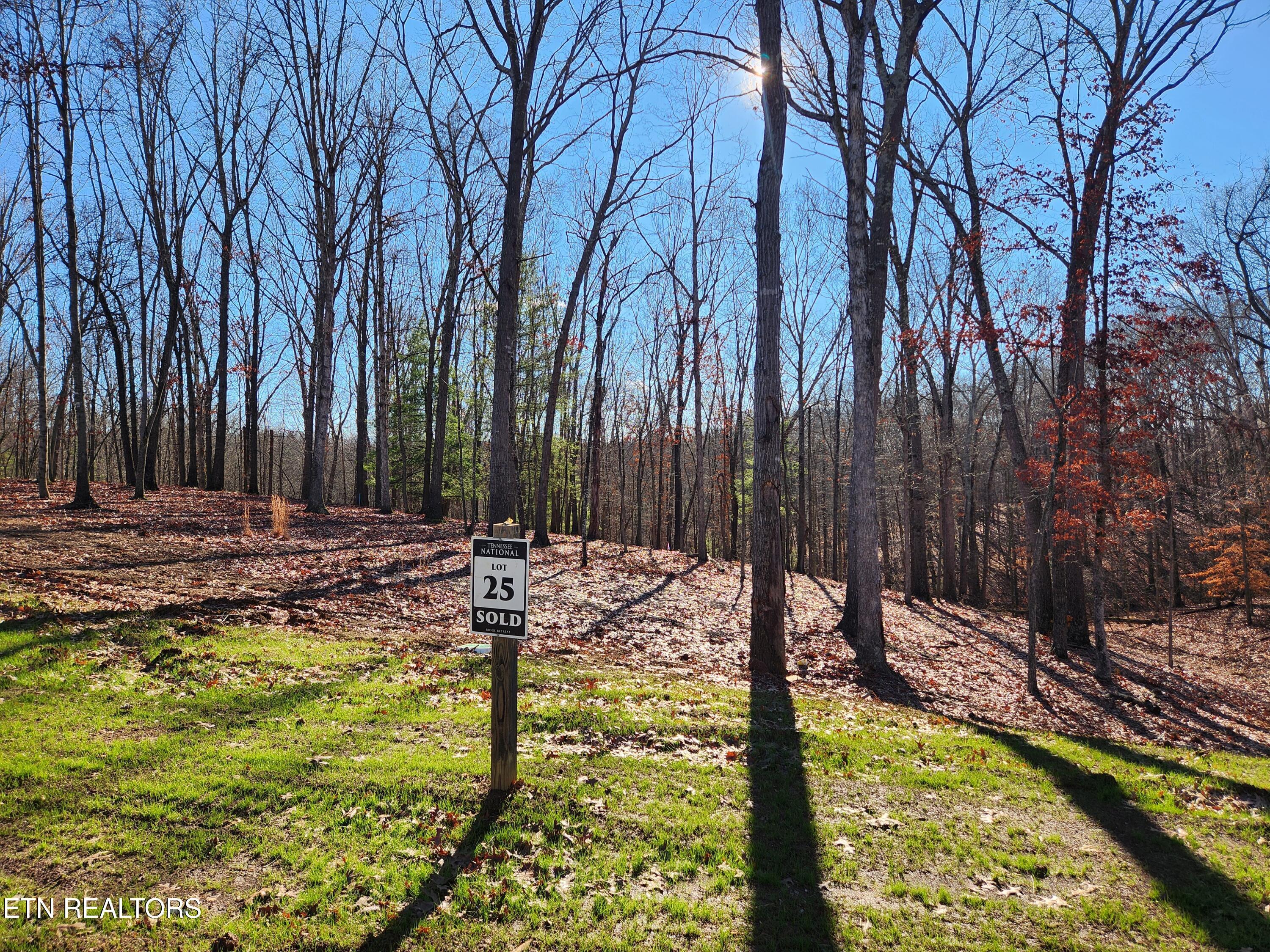 184 Hammock Court, Loudon, TN - Fort Loudoun and Tellico Lake Real Estate - Image# 3