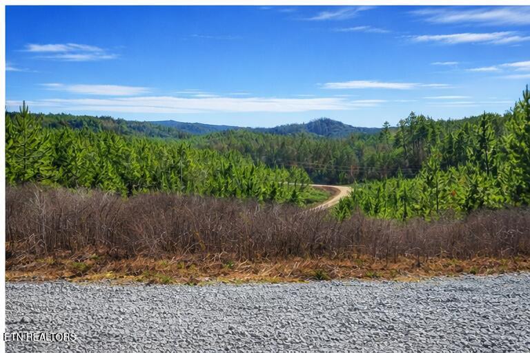 Ridgeline Dr, Vonore, TN - Fort Loudoun and Tellico Lake Real Estate - Image# 3