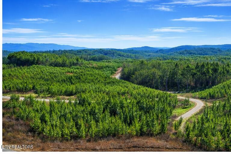 Ridgeline Dr, Vonore, TN - Fort Loudoun and Tellico Lake Real Estate - Image# 2