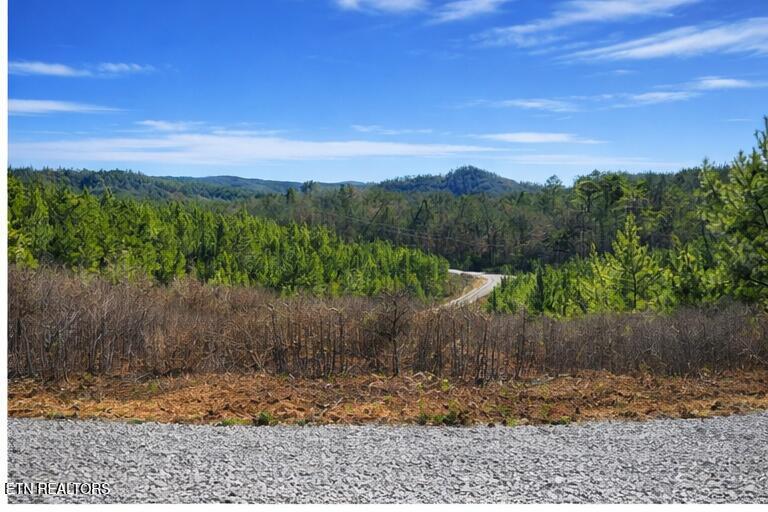 Ridgeline Dr, Vonore, TN - Fort Loudoun and Tellico Lake Real Estate - Image# 6