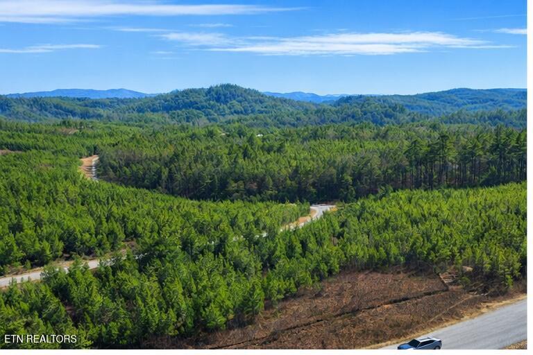 Ridgeline Dr, Vonore, TN - Fort Loudoun and Tellico Lake Real Estate - Image# 5