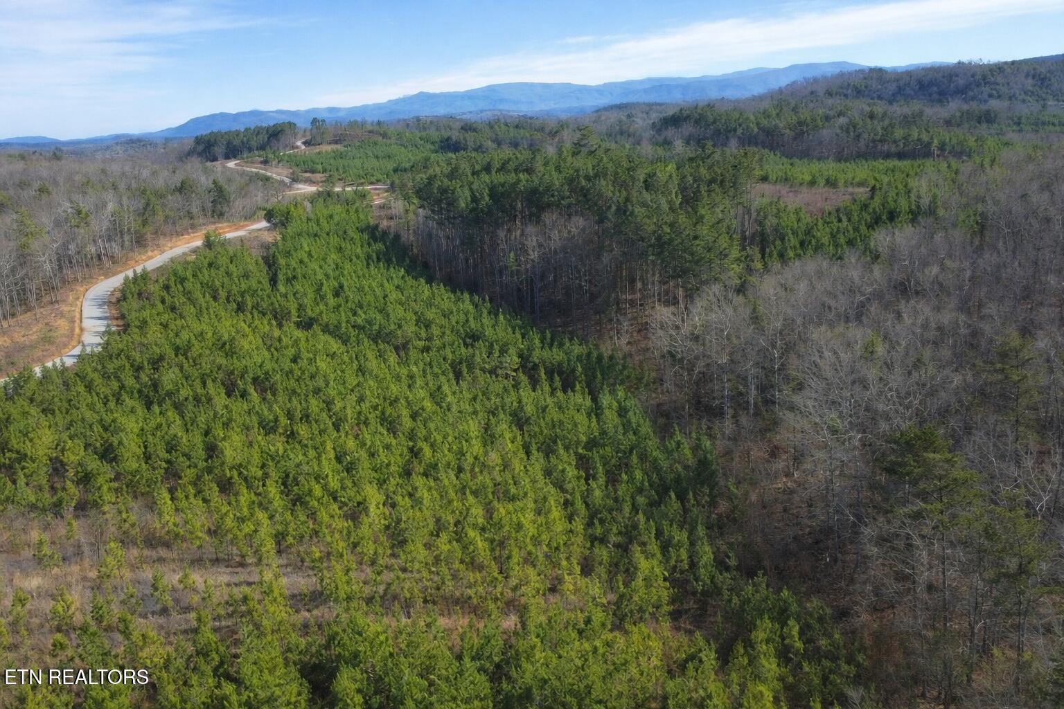 Saddleback Dr, Vonore, TN - Fort Loudoun and Tellico Lake Real Estate - Image# 5