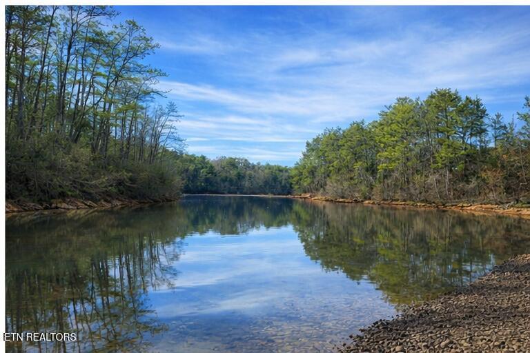 Saddleback Dr, Vonore, TN - Fort Loudoun and Tellico Lake Real Estate - Image# 6