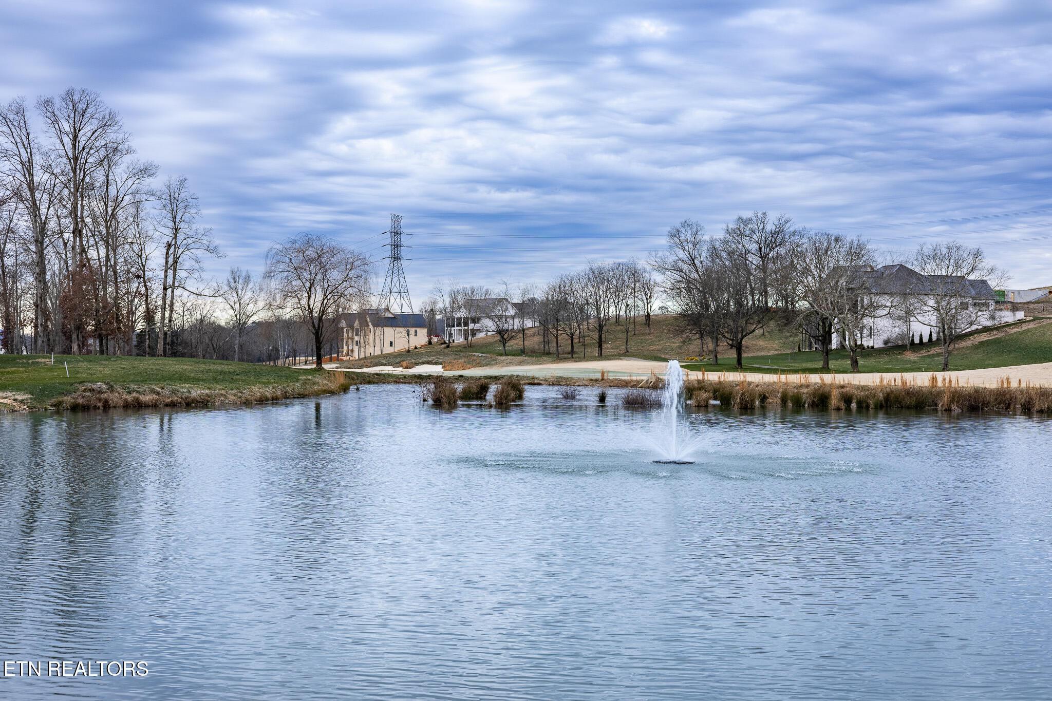 1789 Mockingbird Lane, Loudon, TN - Fort Loudoun and Tellico Lake Real Estate - Image# 10