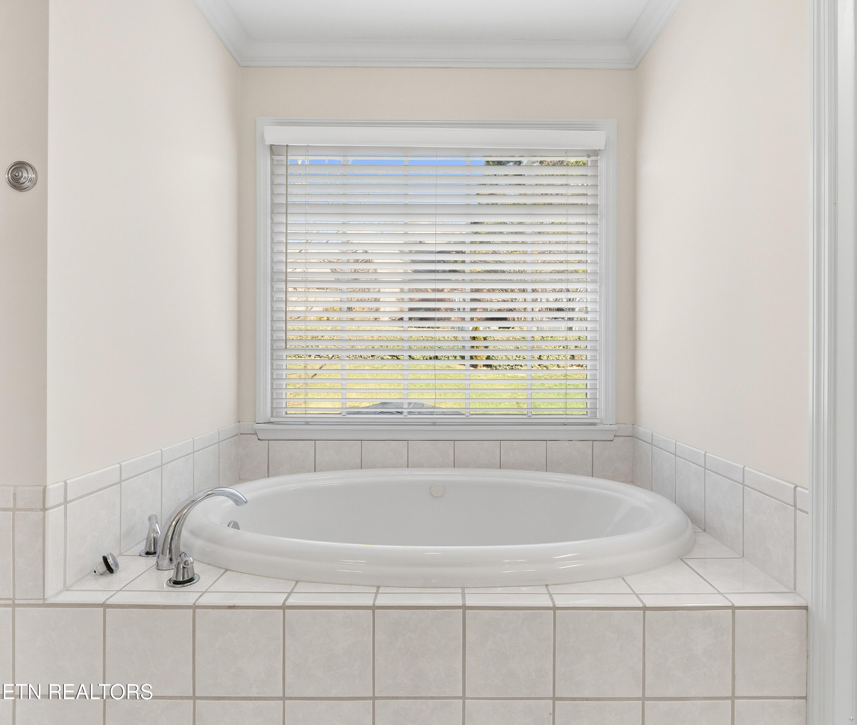 Fort Loudoun and Tellico Lake Real Estate - Image# 21