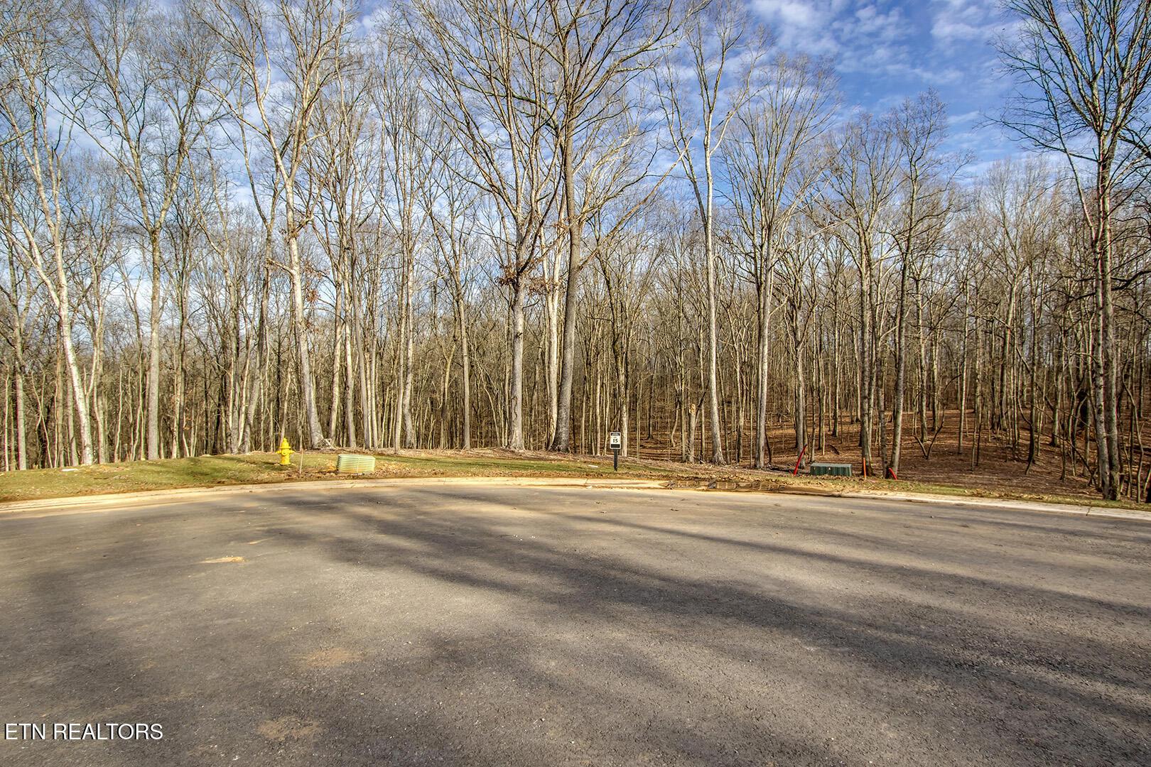 Fort Loudoun and Tellico Lake Real Estate - Image# 4