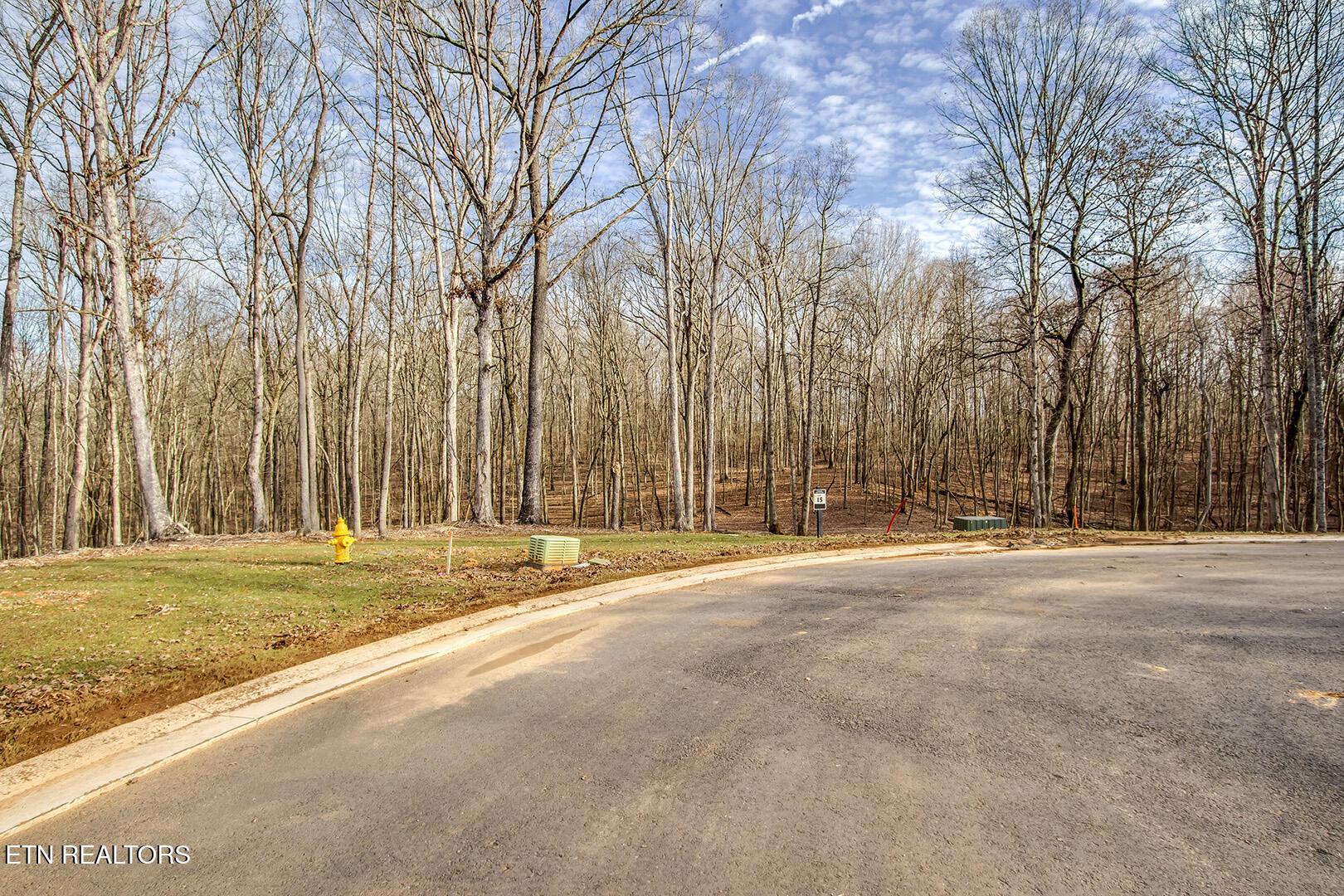 Fort Loudoun and Tellico Lake Real Estate - Image# 11