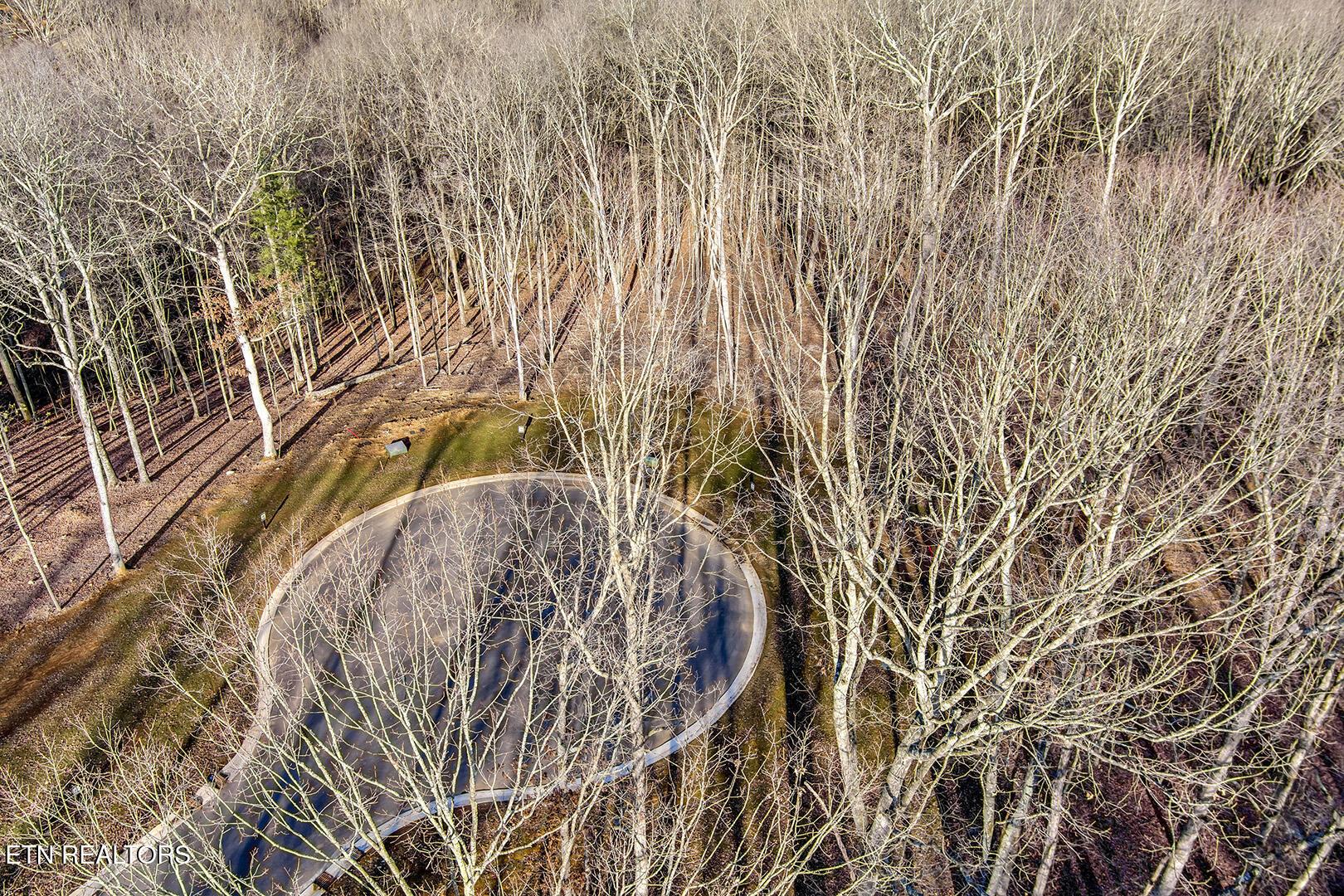 Fort Loudoun and Tellico Lake Real Estate - Image# 12