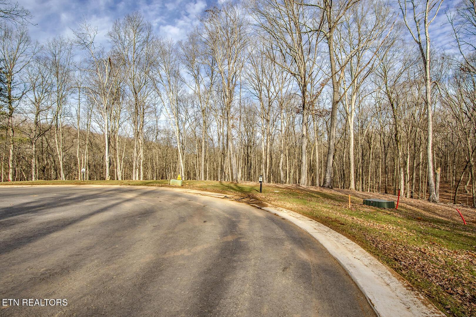 Fort Loudoun and Tellico Lake Real Estate - Image# 13