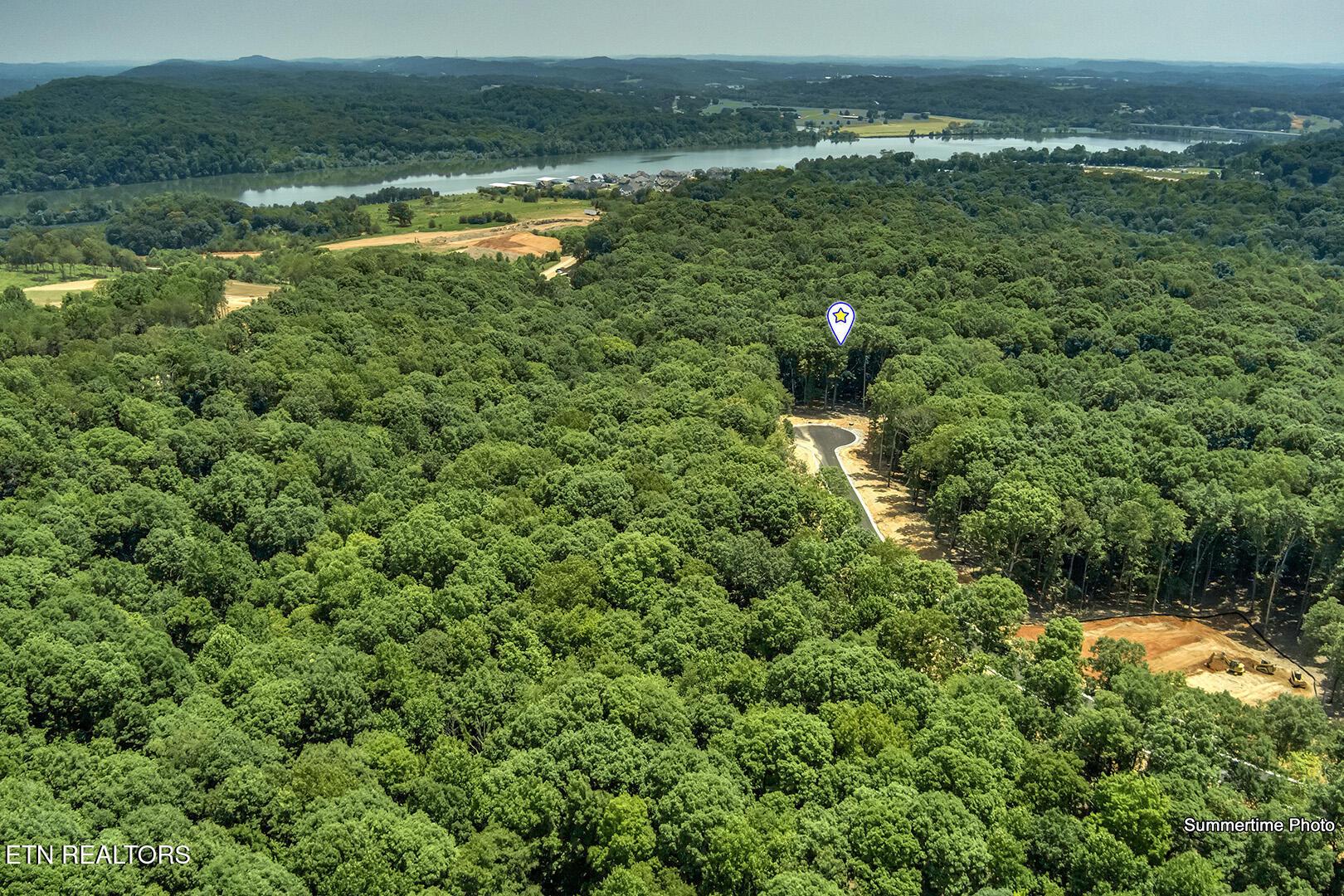 Fort Loudoun and Tellico Lake Real Estate - Image# 9