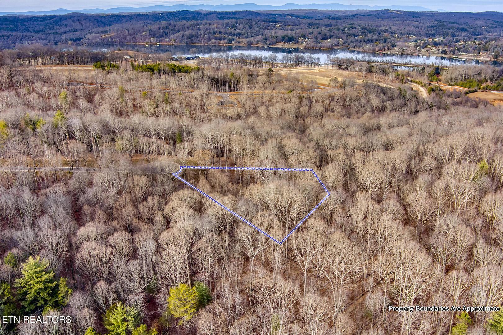 Fort Loudoun and Tellico Lake Real Estate - Image# 18