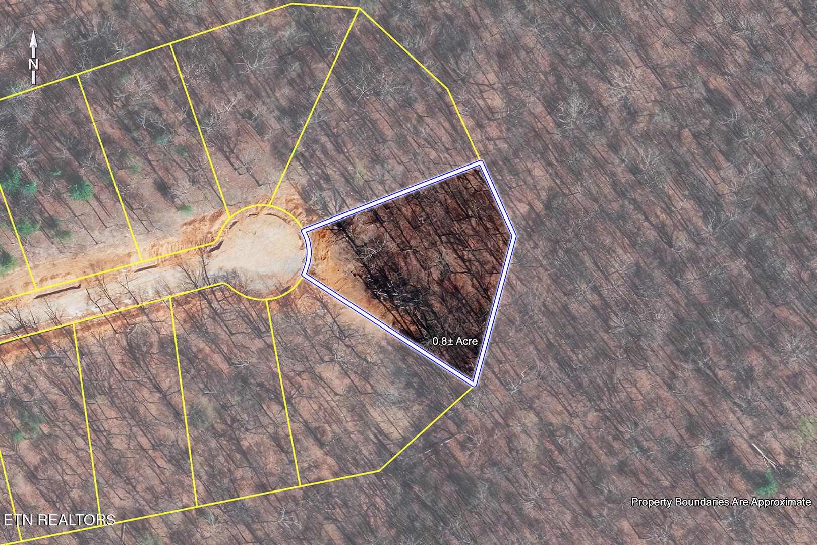 Fort Loudoun and Tellico Lake Real Estate - Image# 3