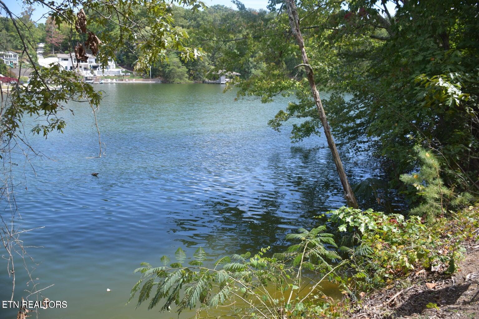 Fort Loudoun and Tellico Lake Real Estate - Image# 1