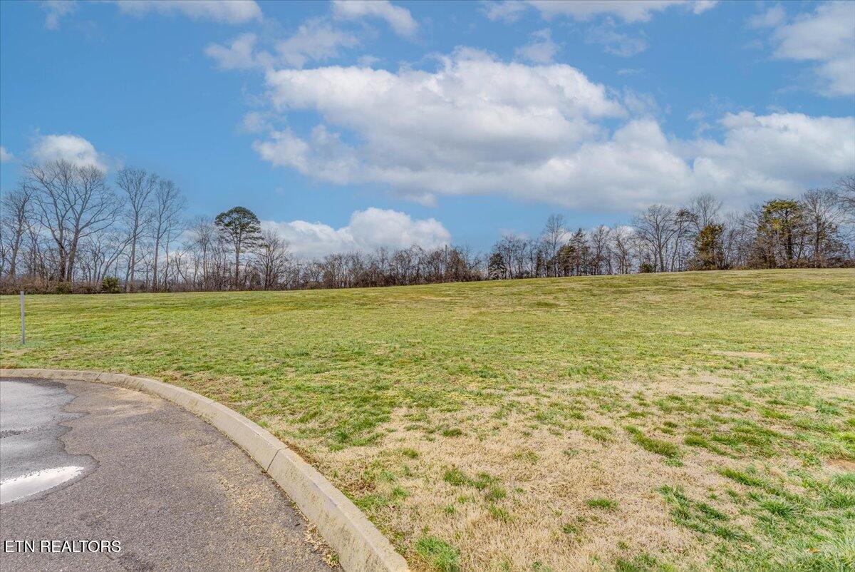 Fort Loudoun and Tellico Lake Real Estate - Image# 22