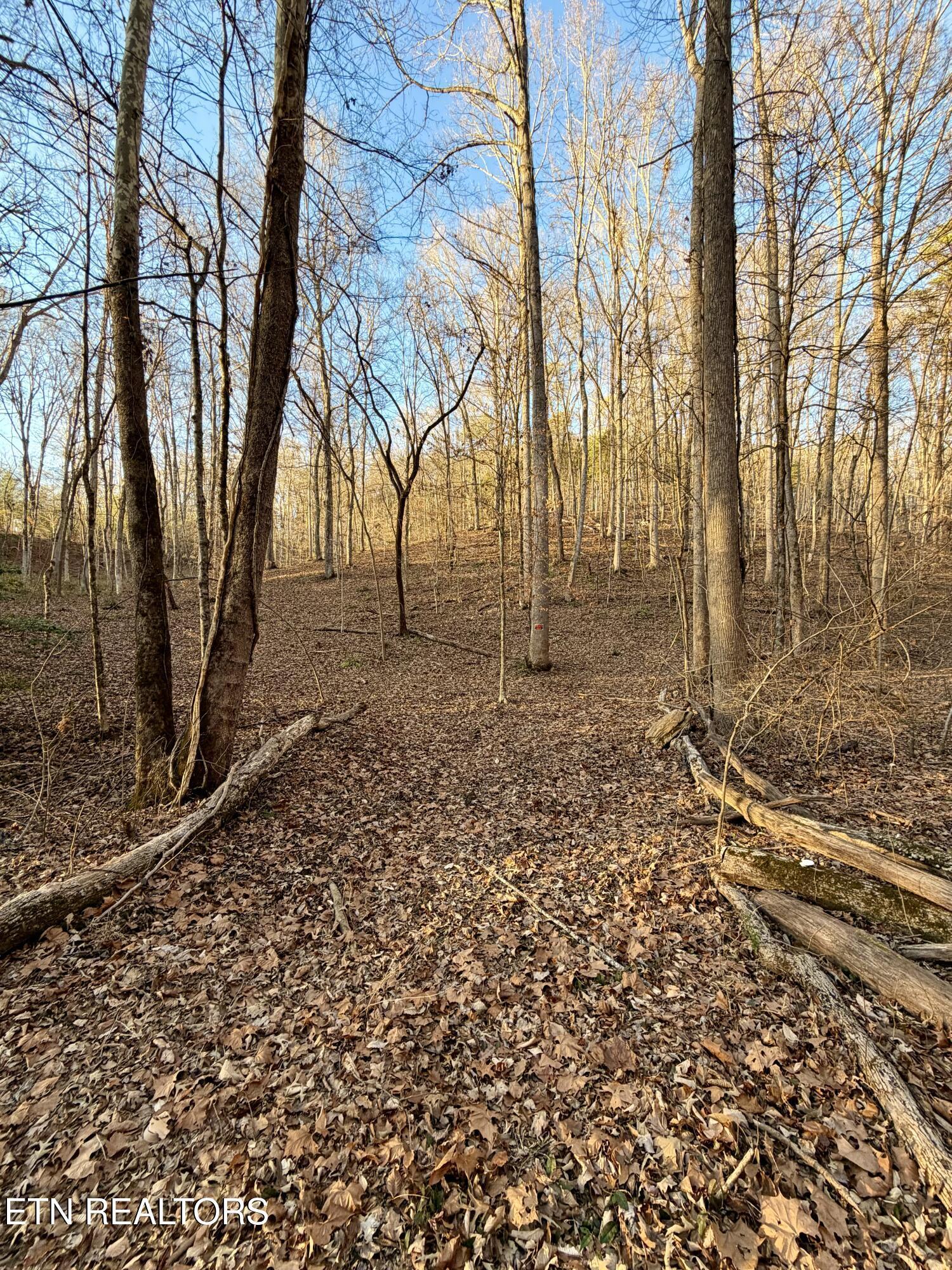 Old Highway 72, Maryville, TN - Fort Loudoun and Tellico Lake Real Estate - Image# 1