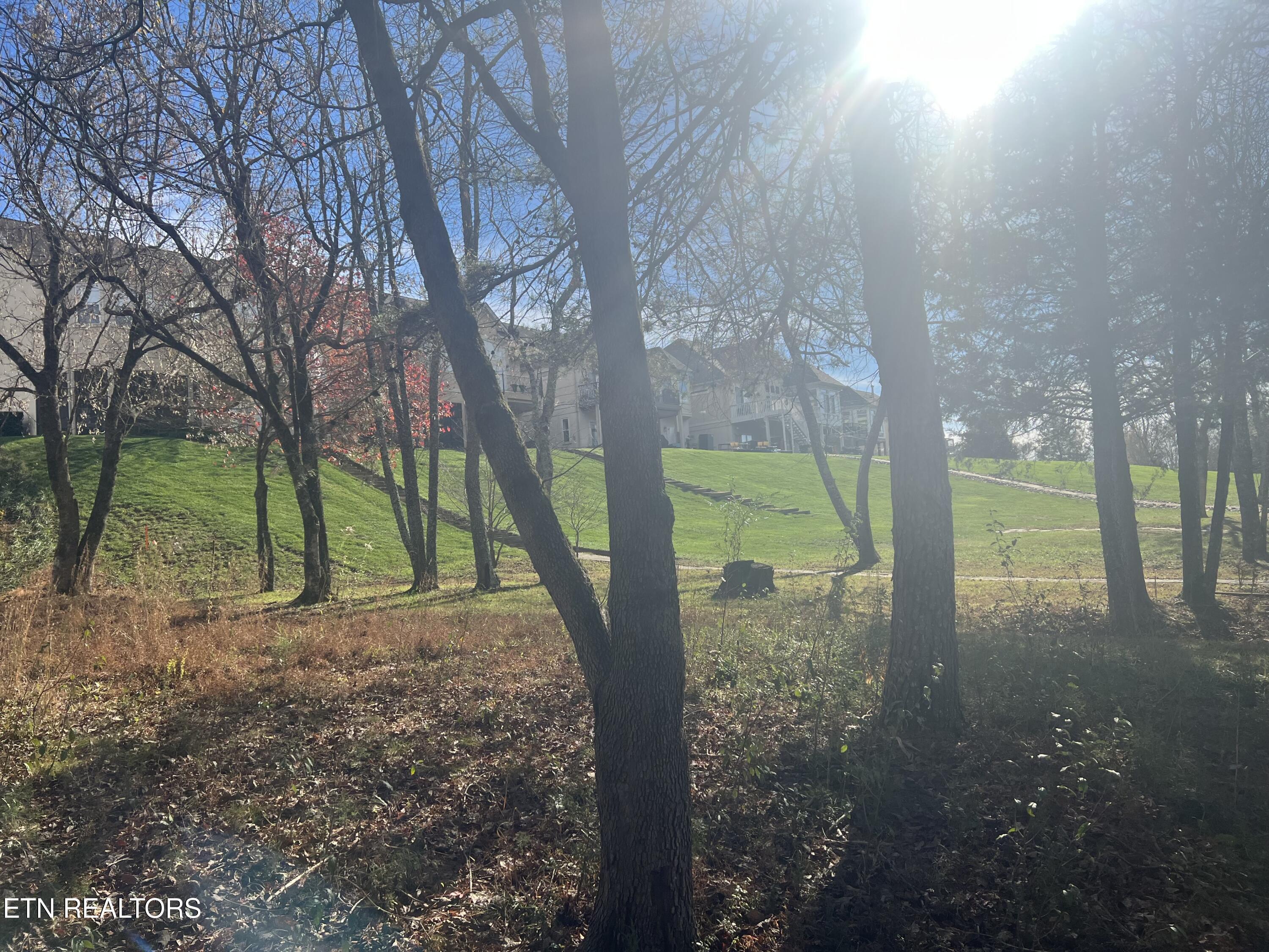 230 Morning Dove Drive, Vonore, TN - Fort Loudoun and Tellico Lake Real Estate - Image# 5