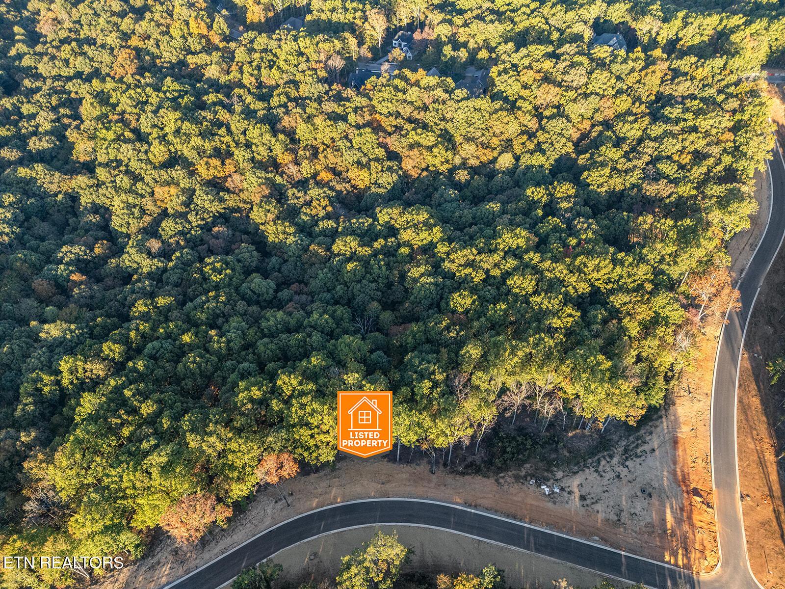 227 Flip Flop Way, Loudon, TN - Fort Loudoun and Tellico Lake Real Estate - Image# 6