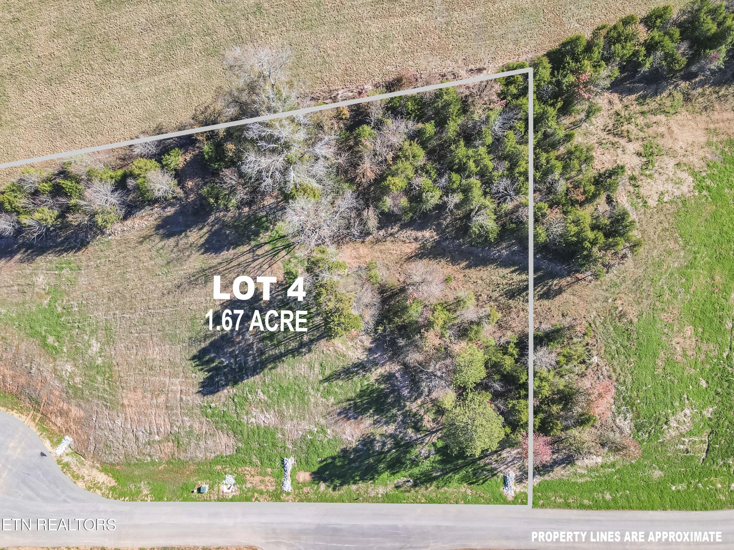 Fort Loudoun and Tellico Lake Real Estate - Image# 5