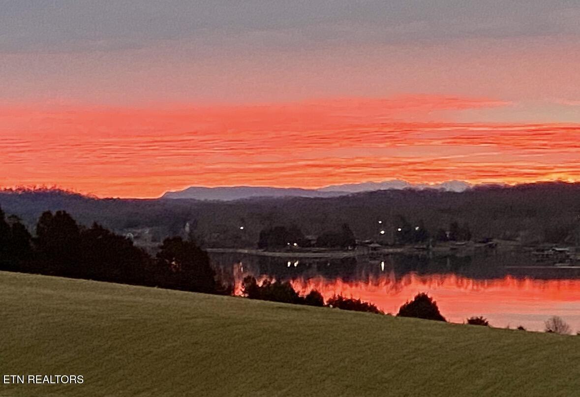 Lot 237 Arcadia Peninsula Way, Knoxville, TN - Fort Loudoun and Tellico Lake Real Estate - Image# 7