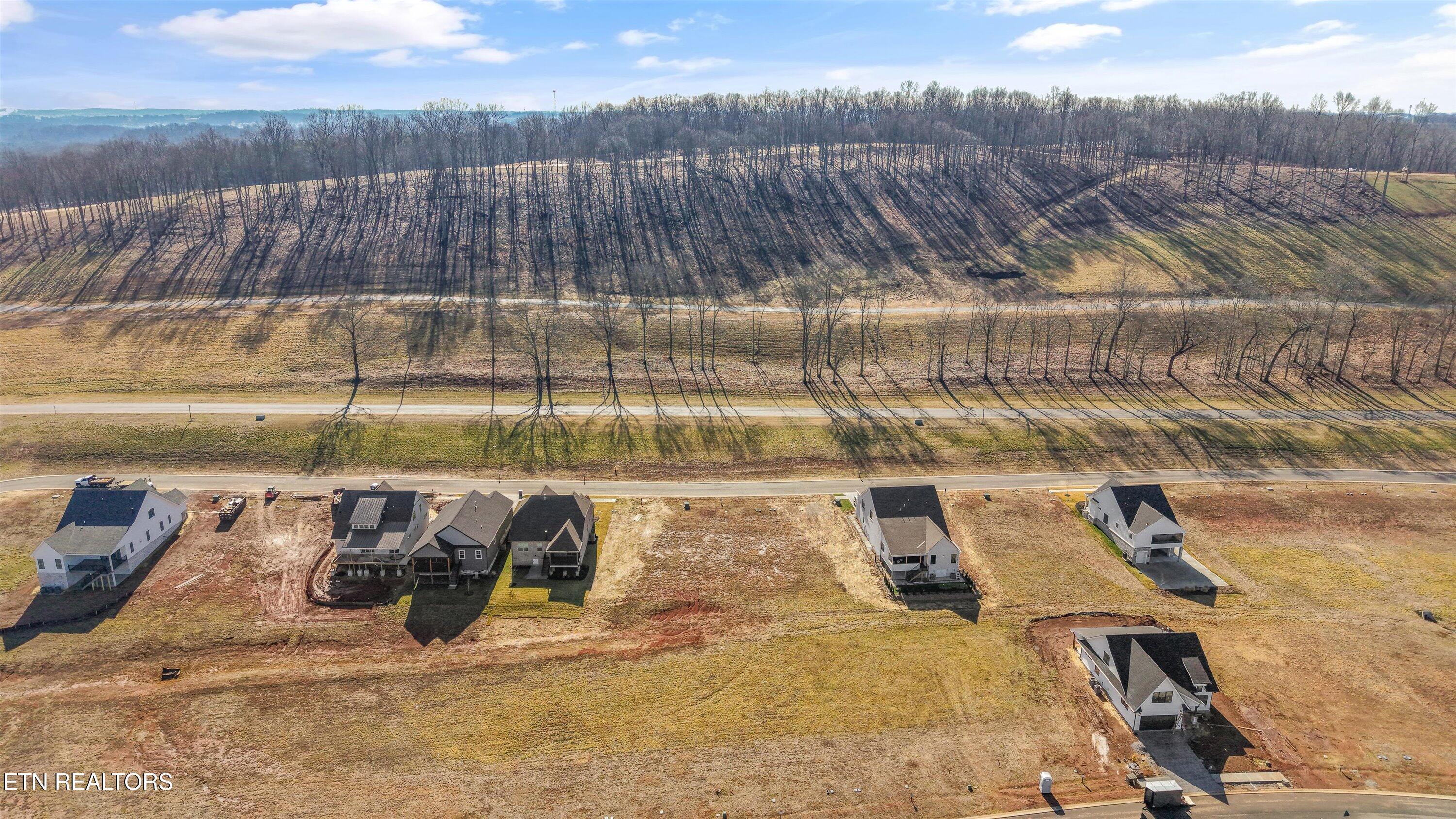 1582 Black Bear Circle, Loudon, TN - Fort Loudoun and Tellico Lake Real Estate - Image# 3