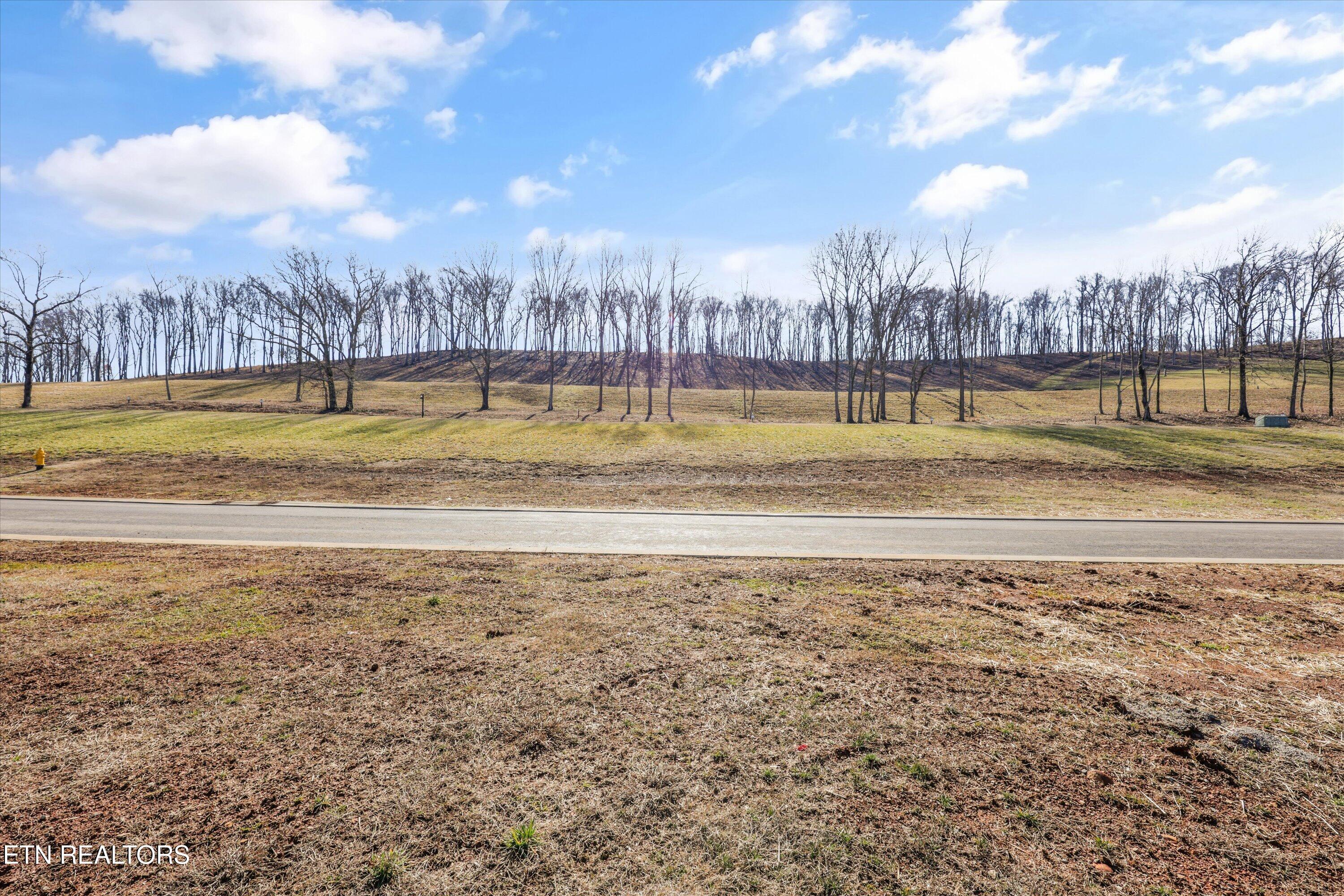 1582 Black Bear Circle, Loudon, TN - Fort Loudoun and Tellico Lake Real Estate - Image# 23