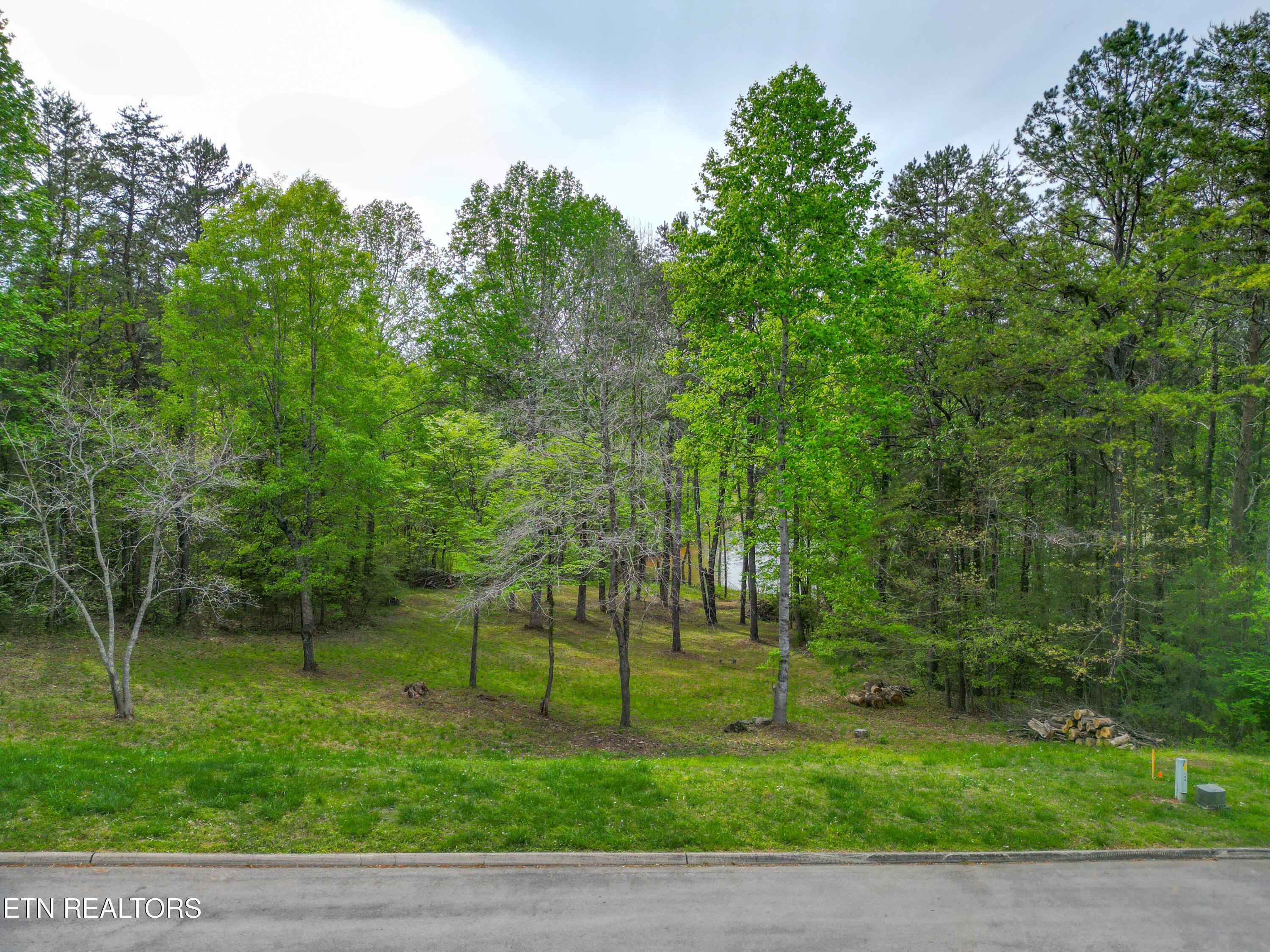 768 Wood Duck Drive, Vonore, TN - Fort Loudoun and Tellico Lake Real Estate - Image# 1