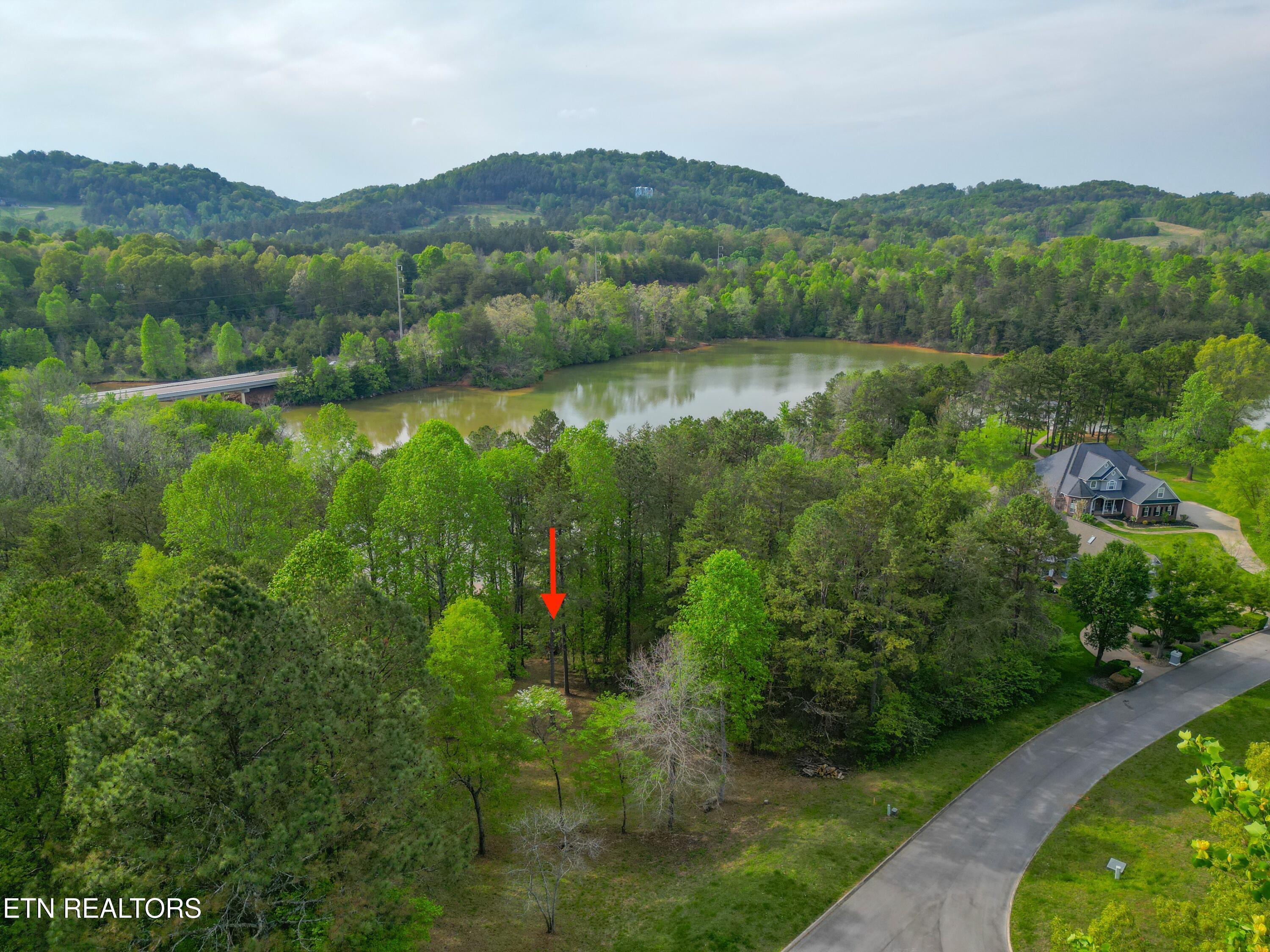 768 Wood Duck Drive, Vonore, TN - Fort Loudoun and Tellico Lake Real Estate - Image# 3